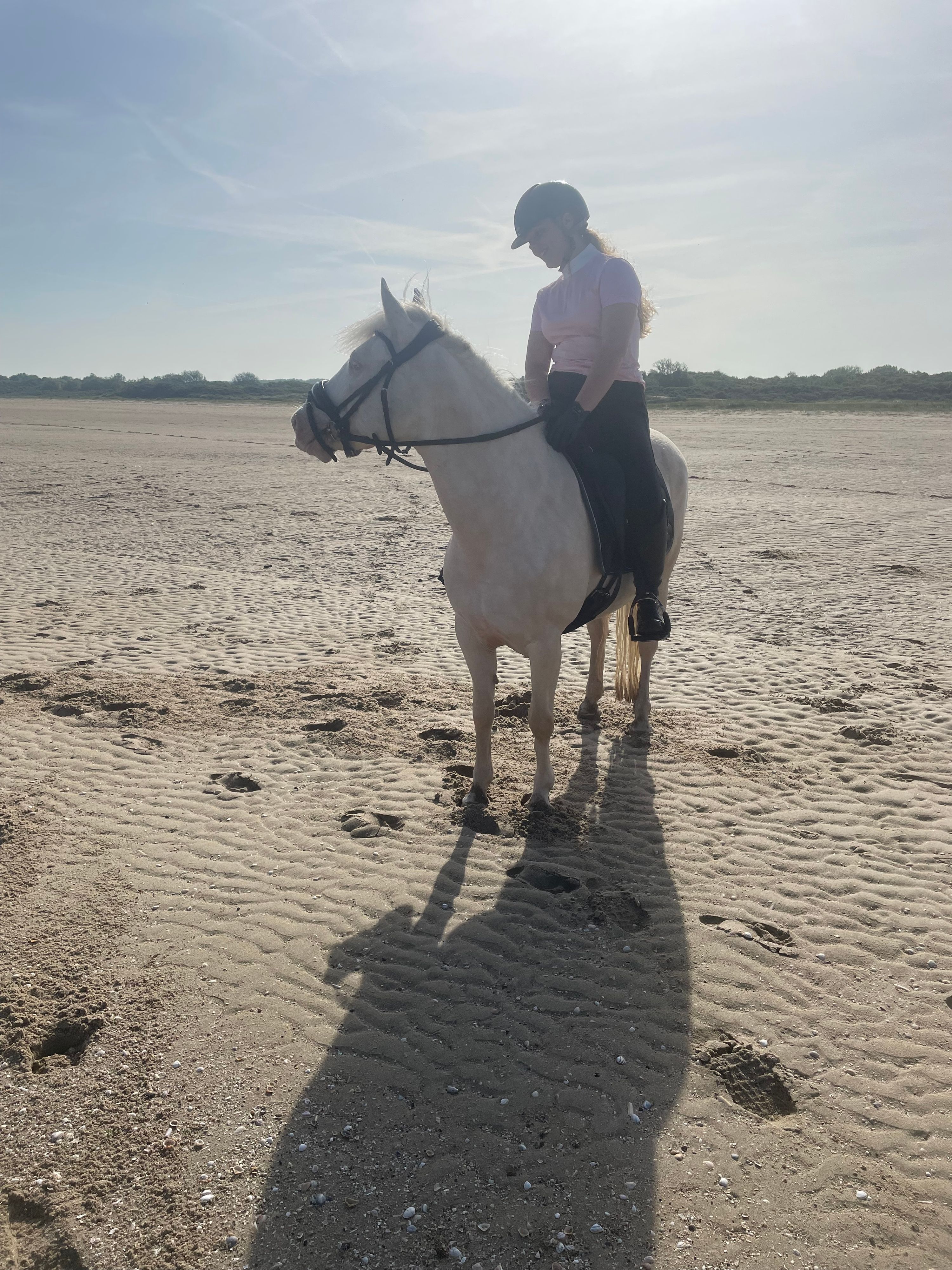allround-pony merrie 10 jaar andere-kleur te koop - Foto 2