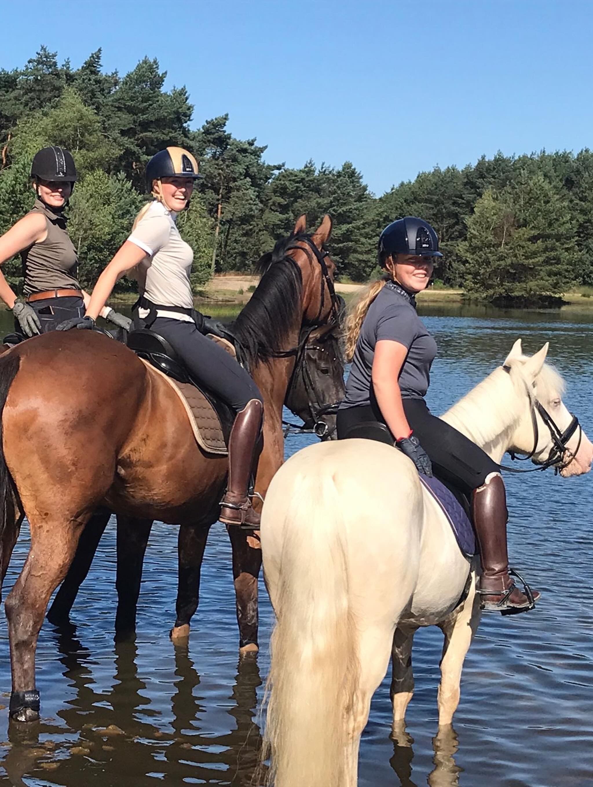 allround-pony merrie 10 jaar andere-kleur te koop - Foto 3