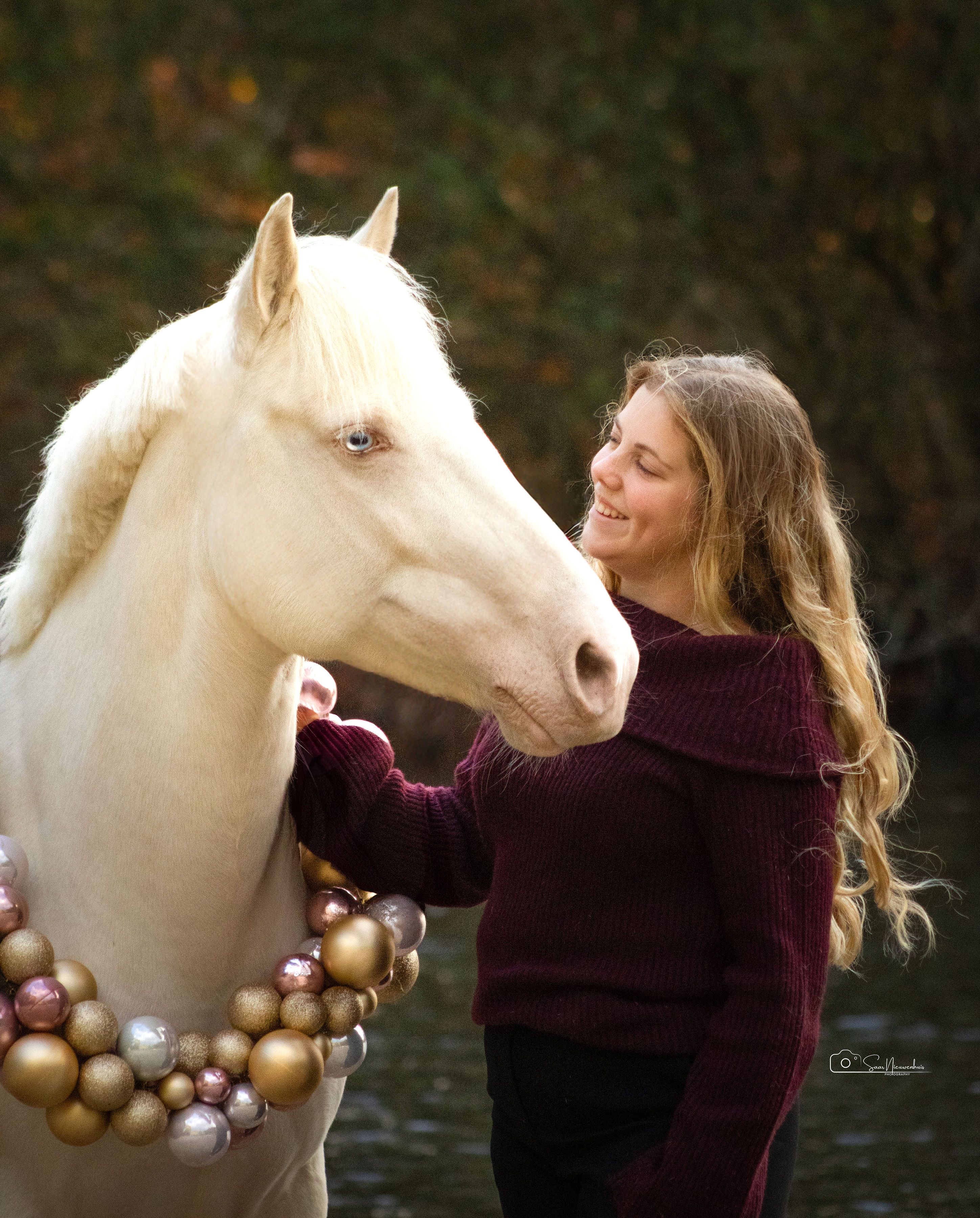 allround-pony merrie 10 jaar andere-kleur te koop - Foto 6