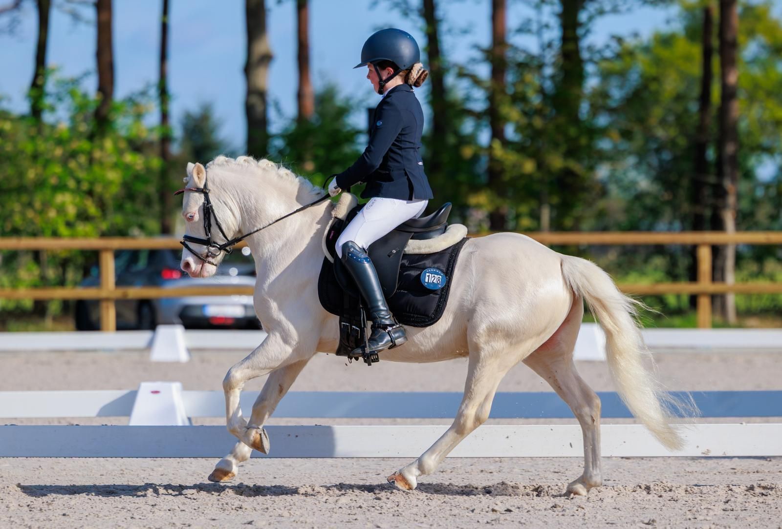Le plus beau b-poney pour enfants