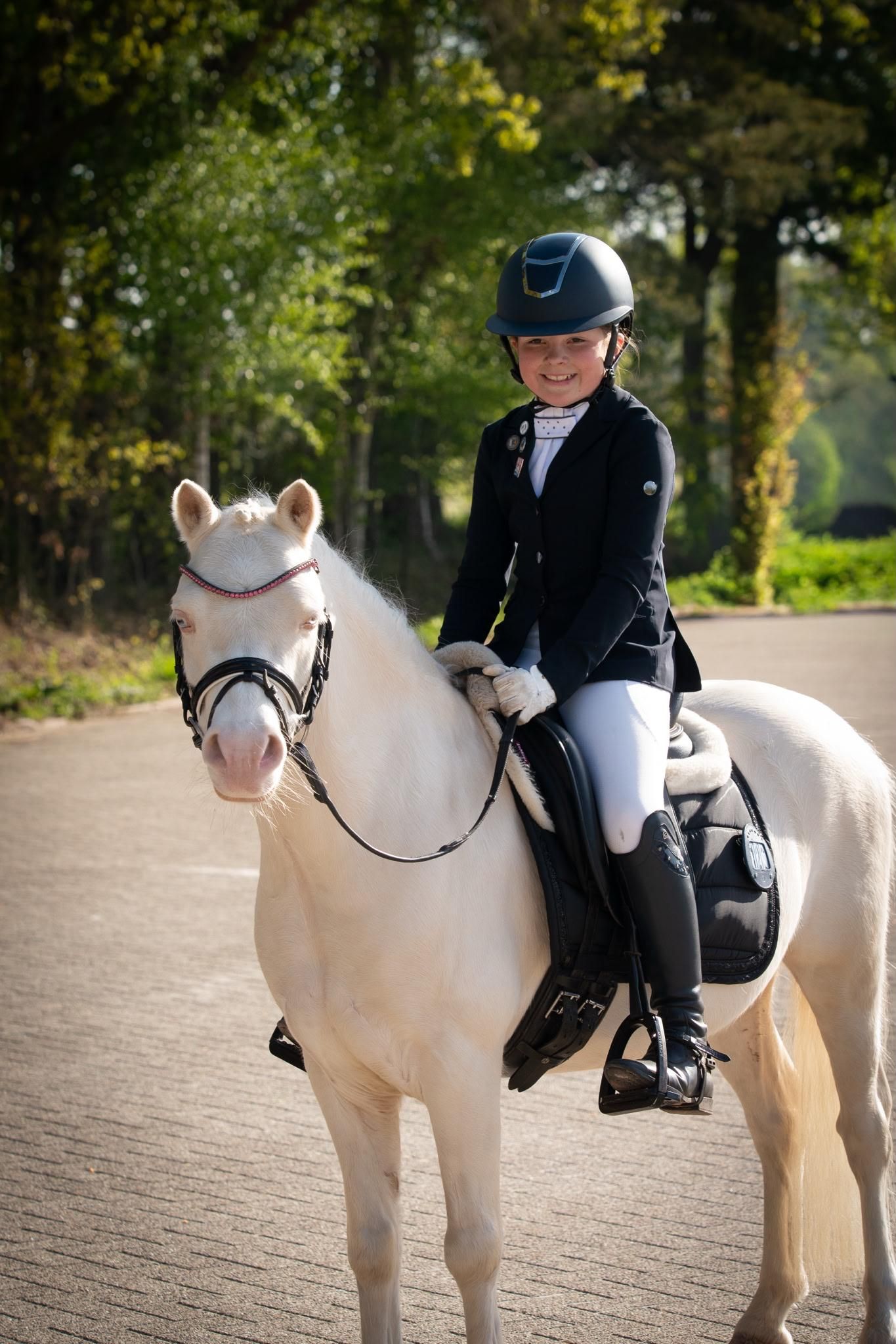 welsh allround-pony ruin 7 år andere-kleur till salu - Foto 4
