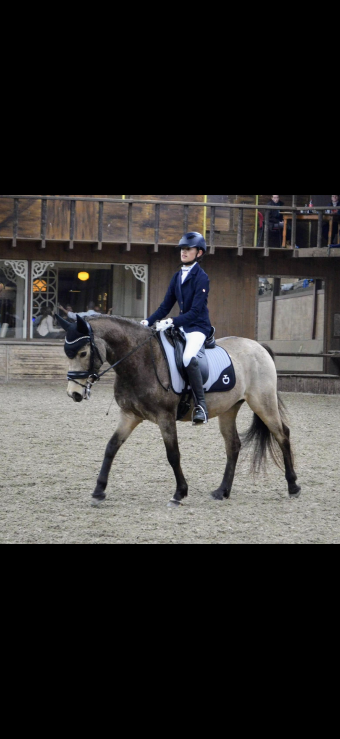 allround-pony ruin 8 years old andere-kleur for sale - Photo 4