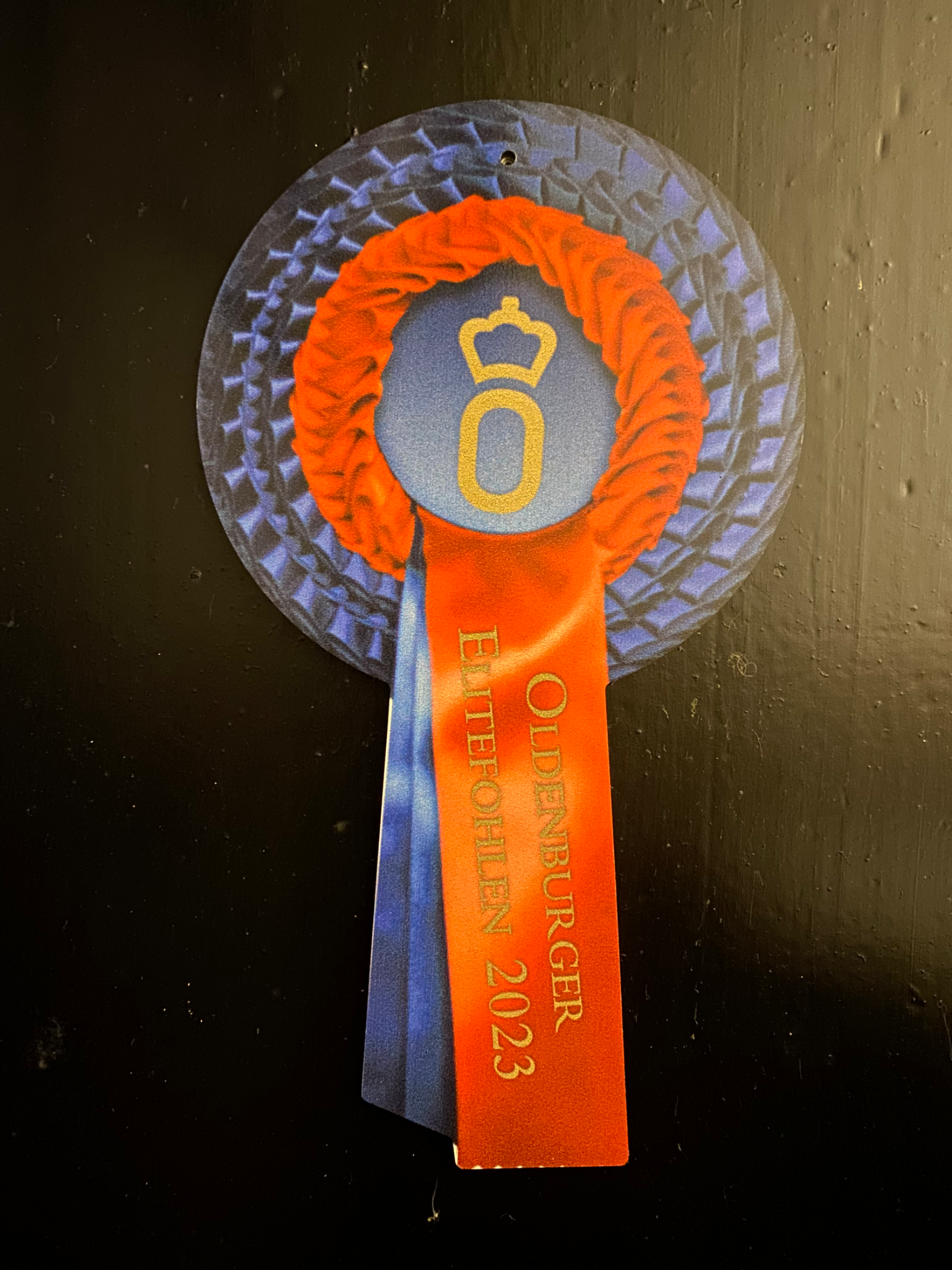 oldenburg dressuurpaard merrie 3 years old bruin for sale - Photo 3