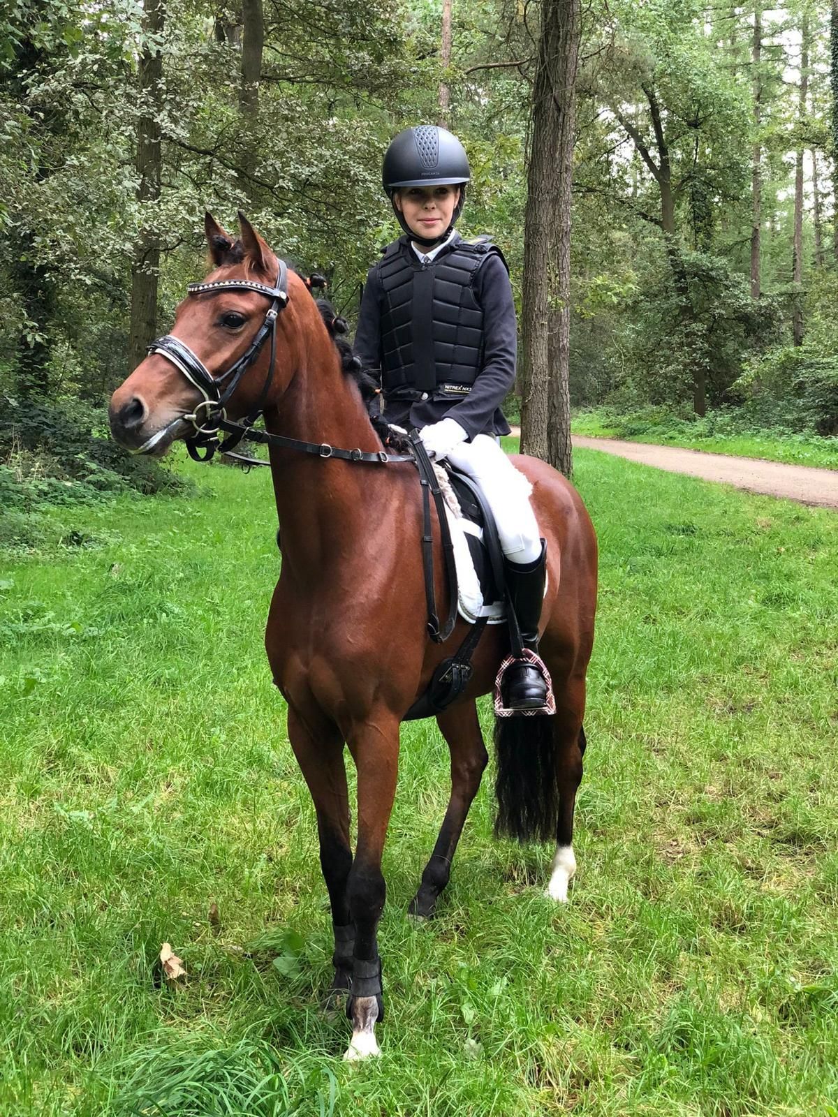 welsh dressuurpony merrie 8 jaar bruin te koop - Foto 4