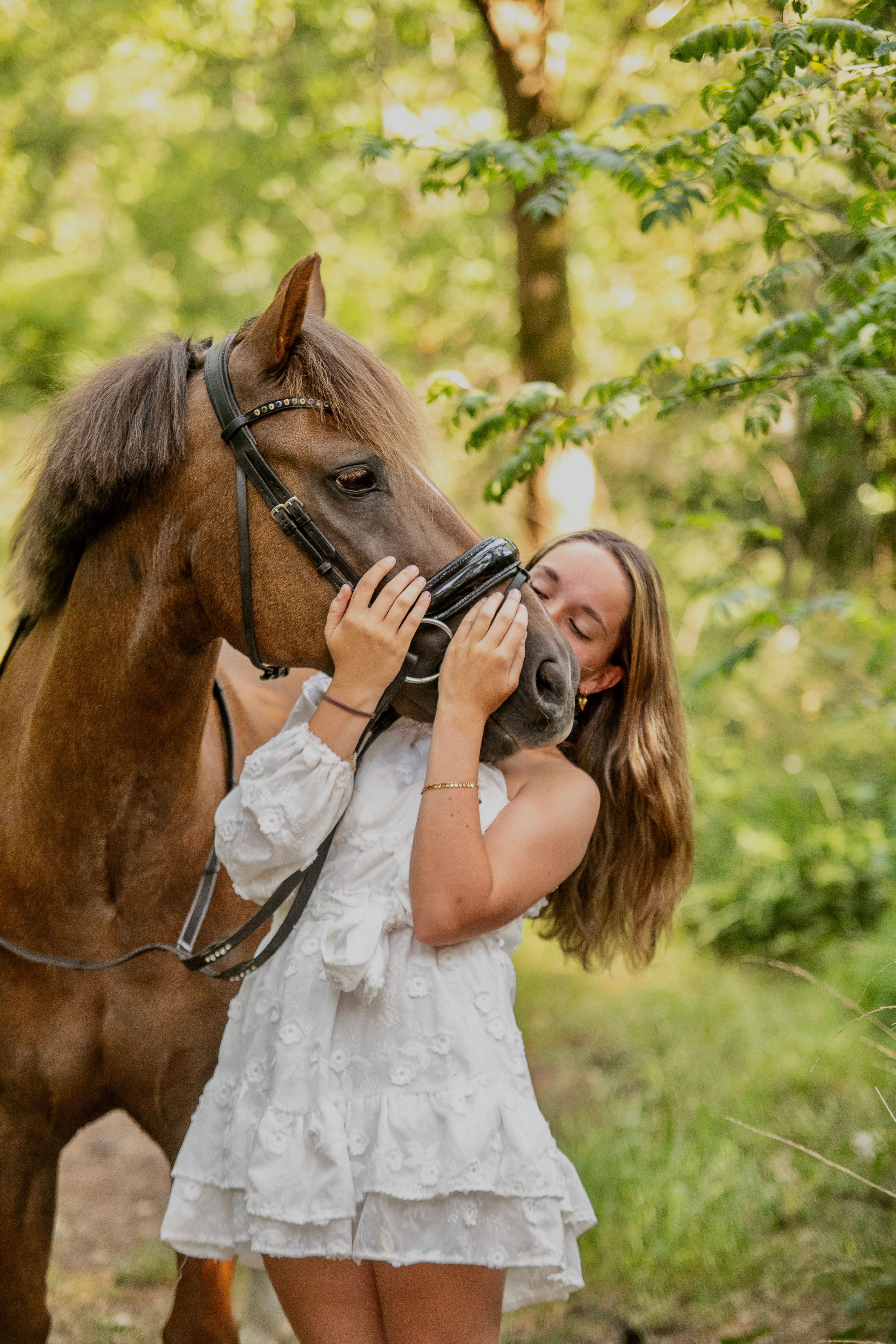 new-forest allround-pony ruin 14 years old vos for sale - Photo 3