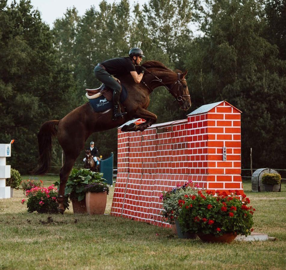 10 Y 130 mare with very nice papers