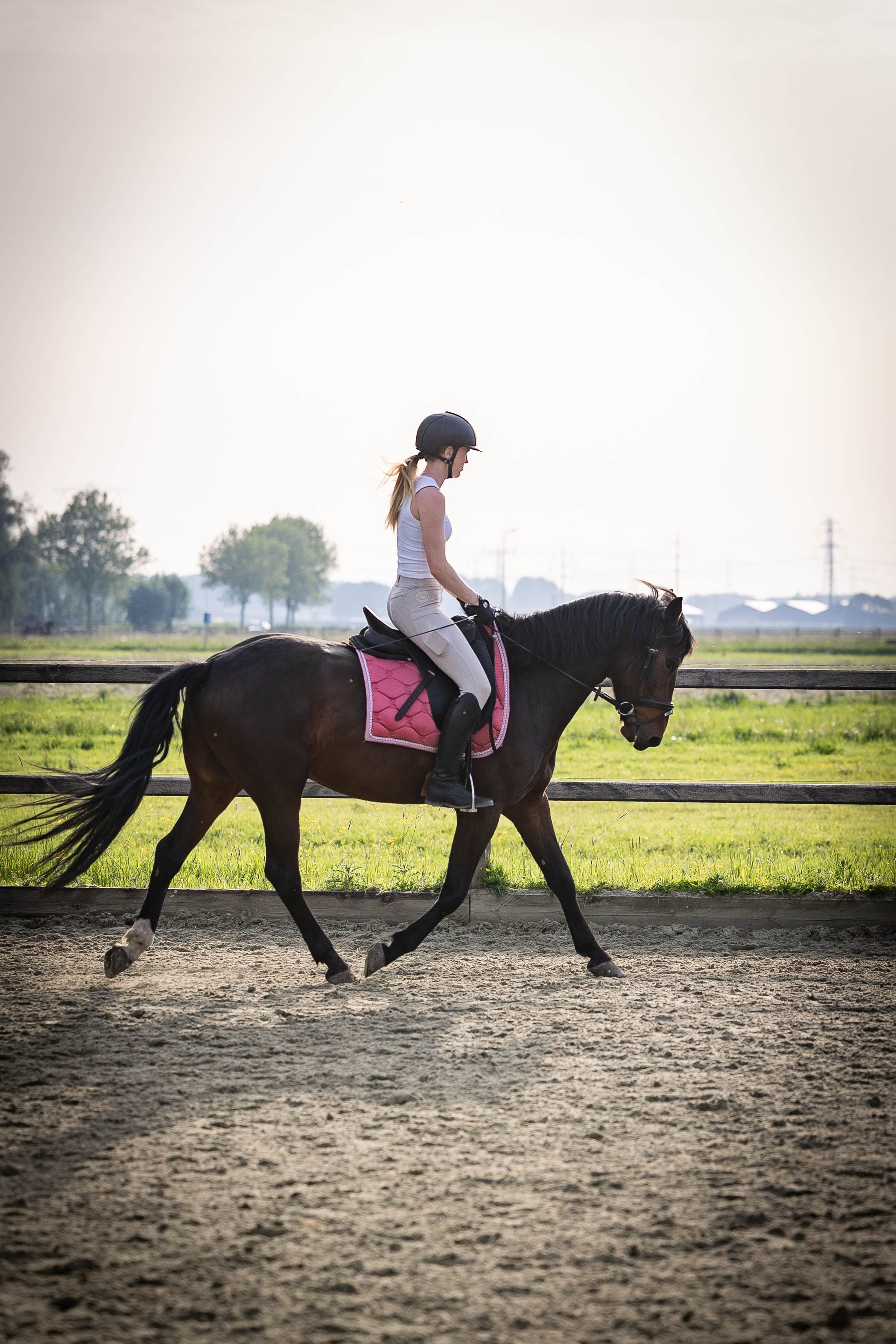 allround-pony ruin 6 years old bruin for sale - Photo 6