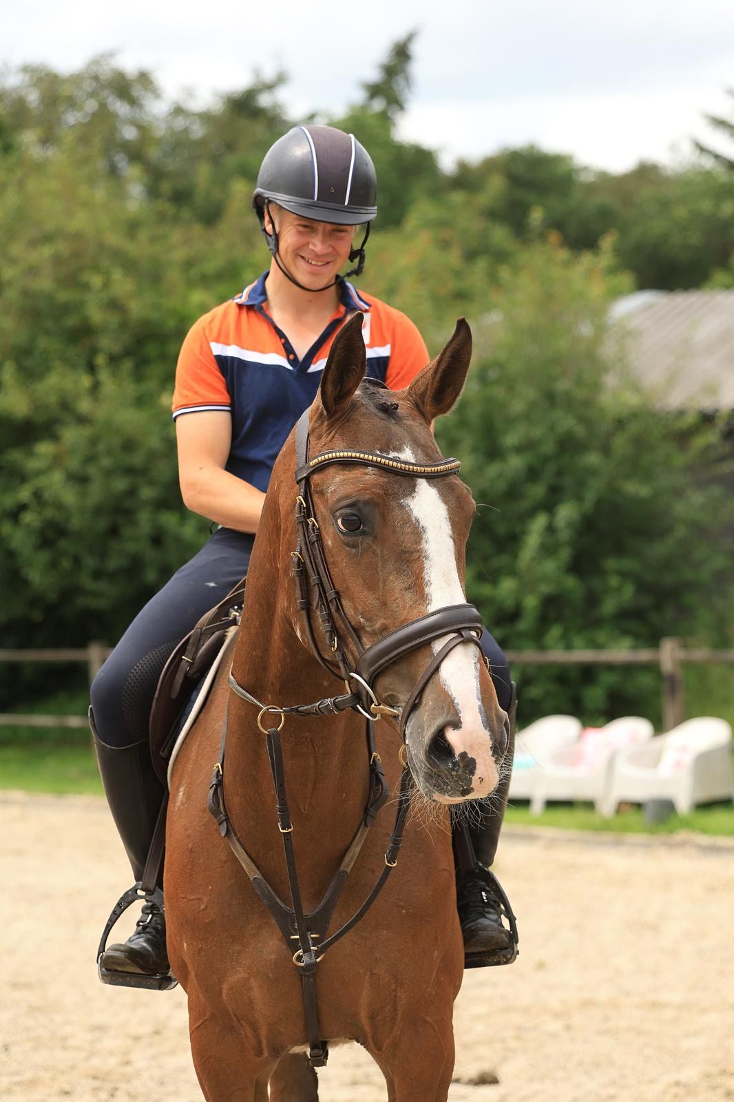 zangersheide springpaard merrie 7 years old andere-kleur for sale - Photo 4