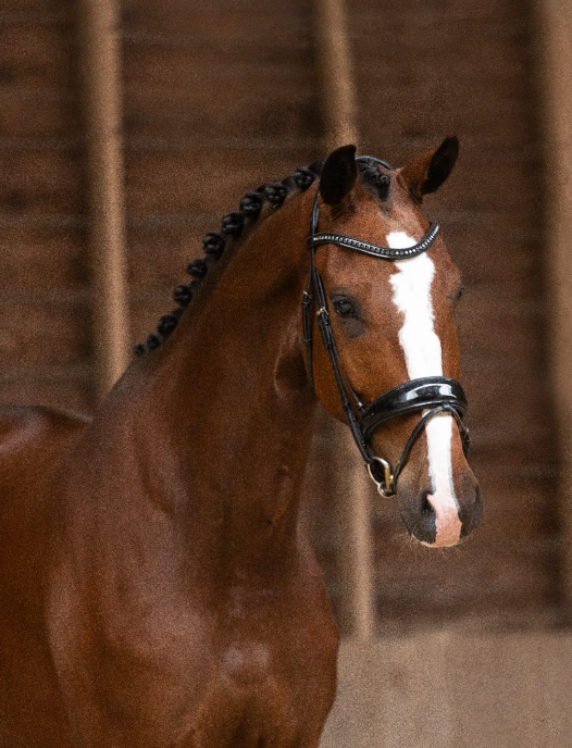 Stoere 4 jarige ruin van Jameson RS2 X Rhodium