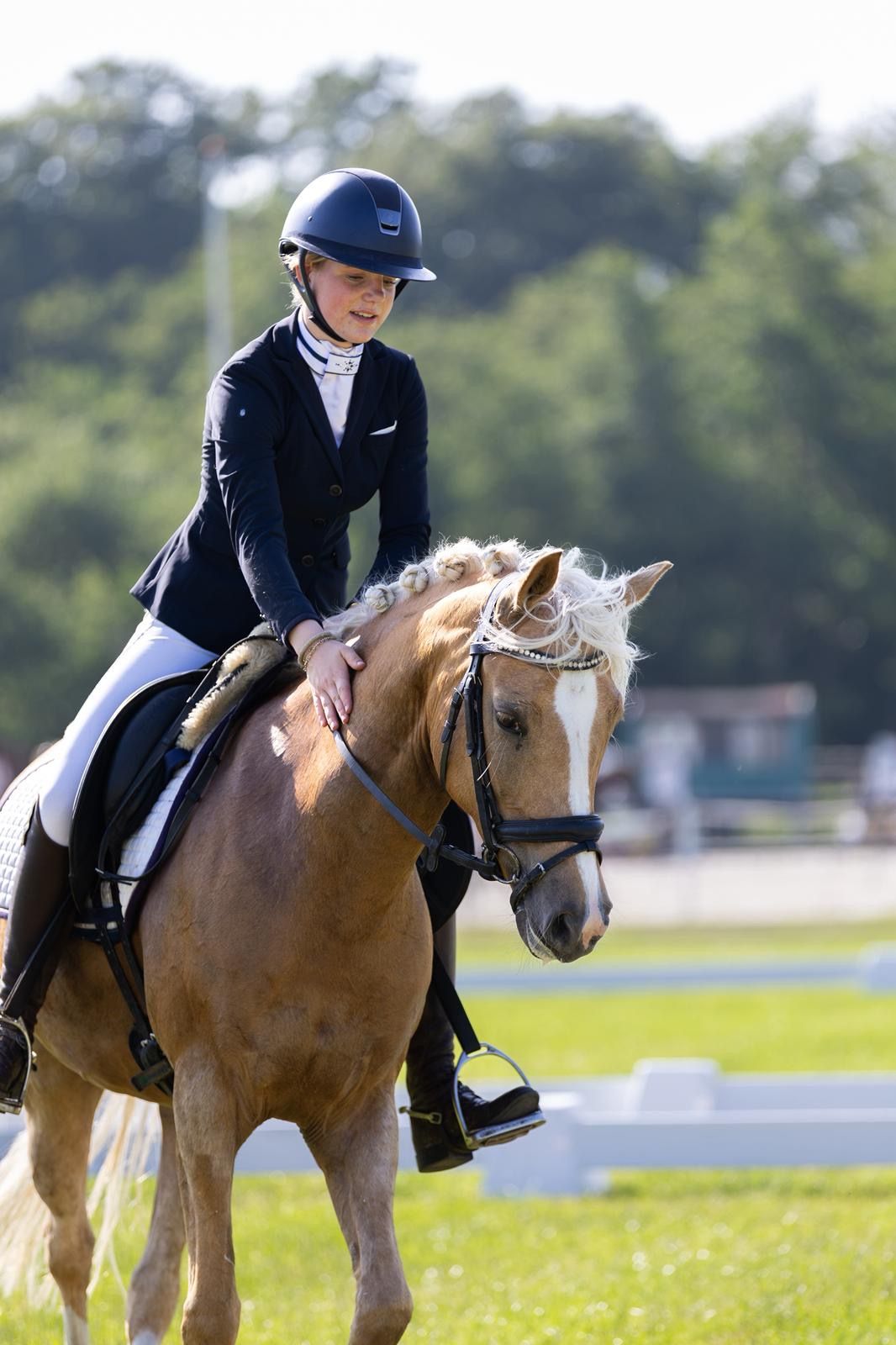 welsh allround-pony merrie 7 år palomino till salu - Foto 3
