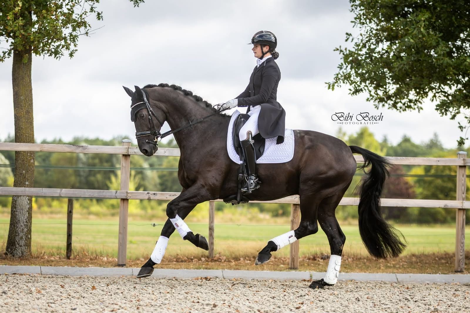 Schoolmaster met veel wedstrijd ervaring maar die ook een buitenritje leuk vind !