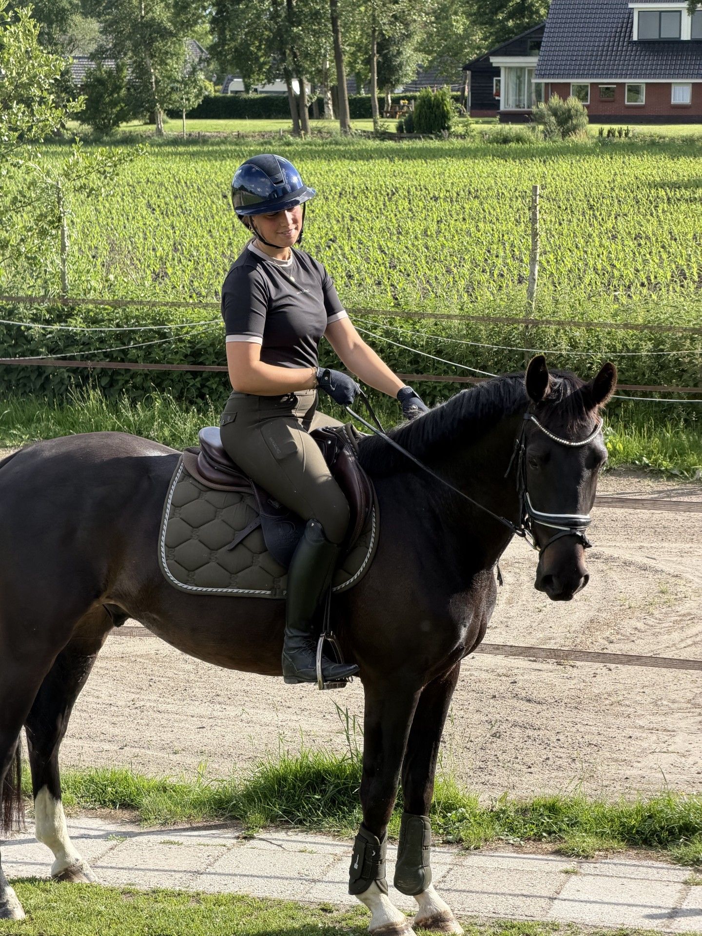 kwpn dressuurpaard ruin 4 jaar zwart te koop - Hoofdfoto