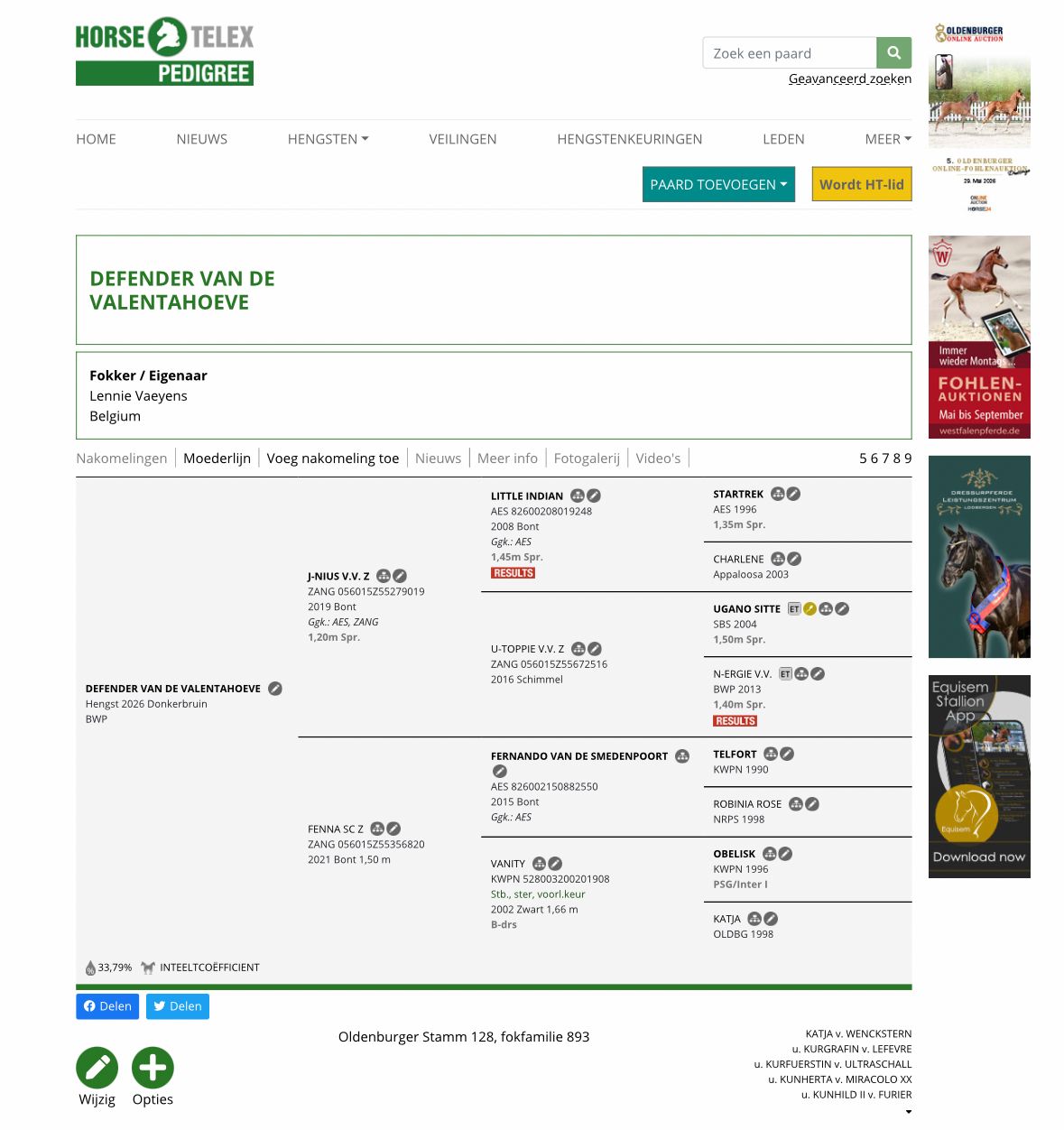 bwp springpaard hengst 0 ans andere-kleur à vendre - Photo 5