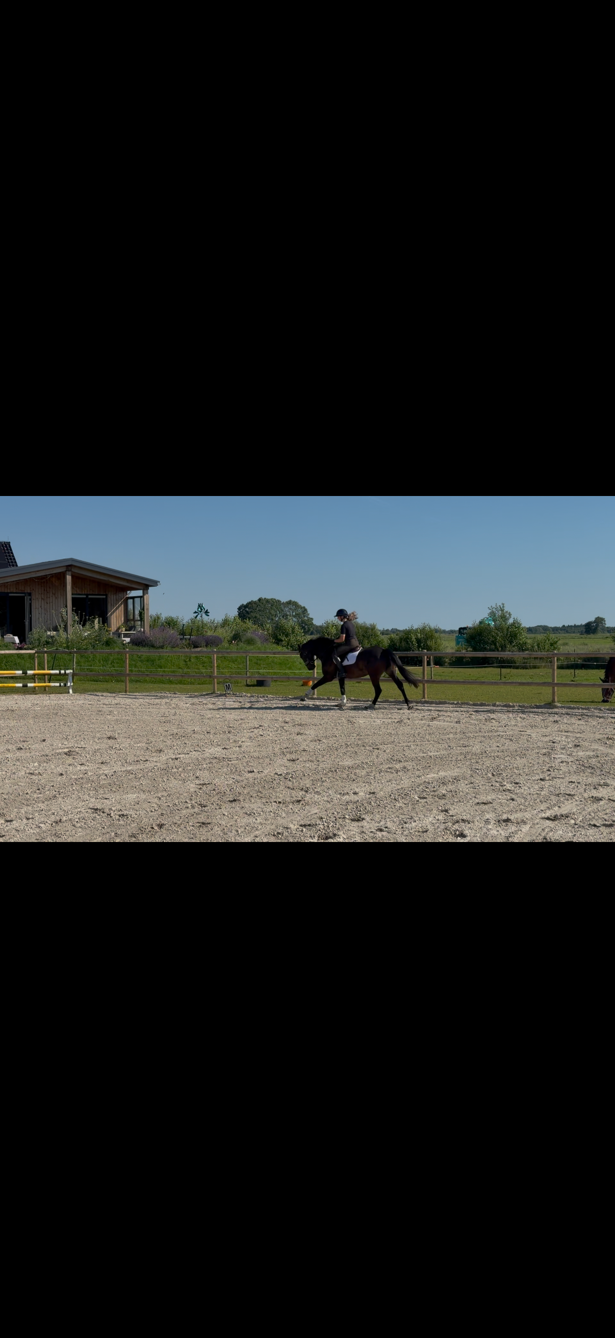 kwpn dressuurpaard ruin 4 jaar zwart te koop - Foto 2