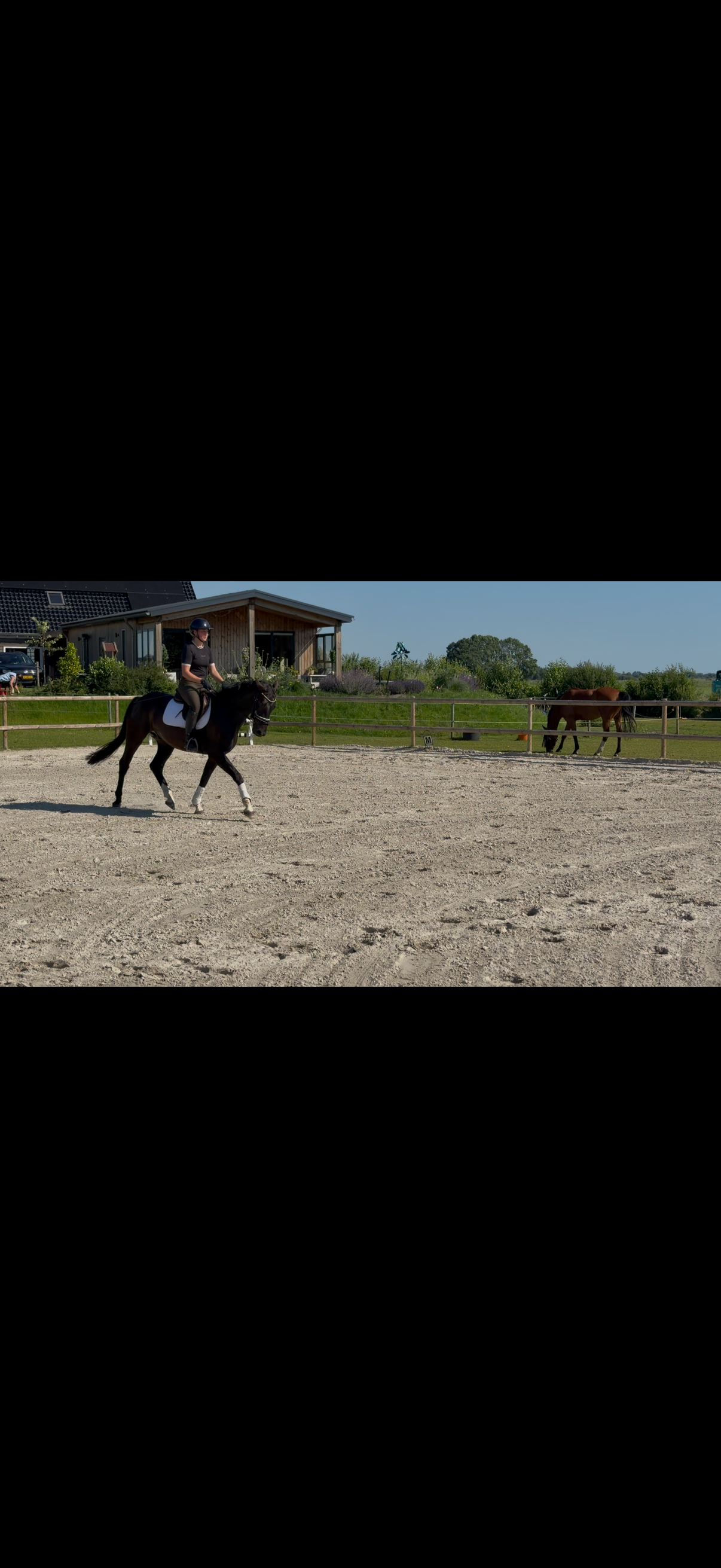 kwpn dressuurpaard ruin 4 jaar zwart te koop - Foto 4