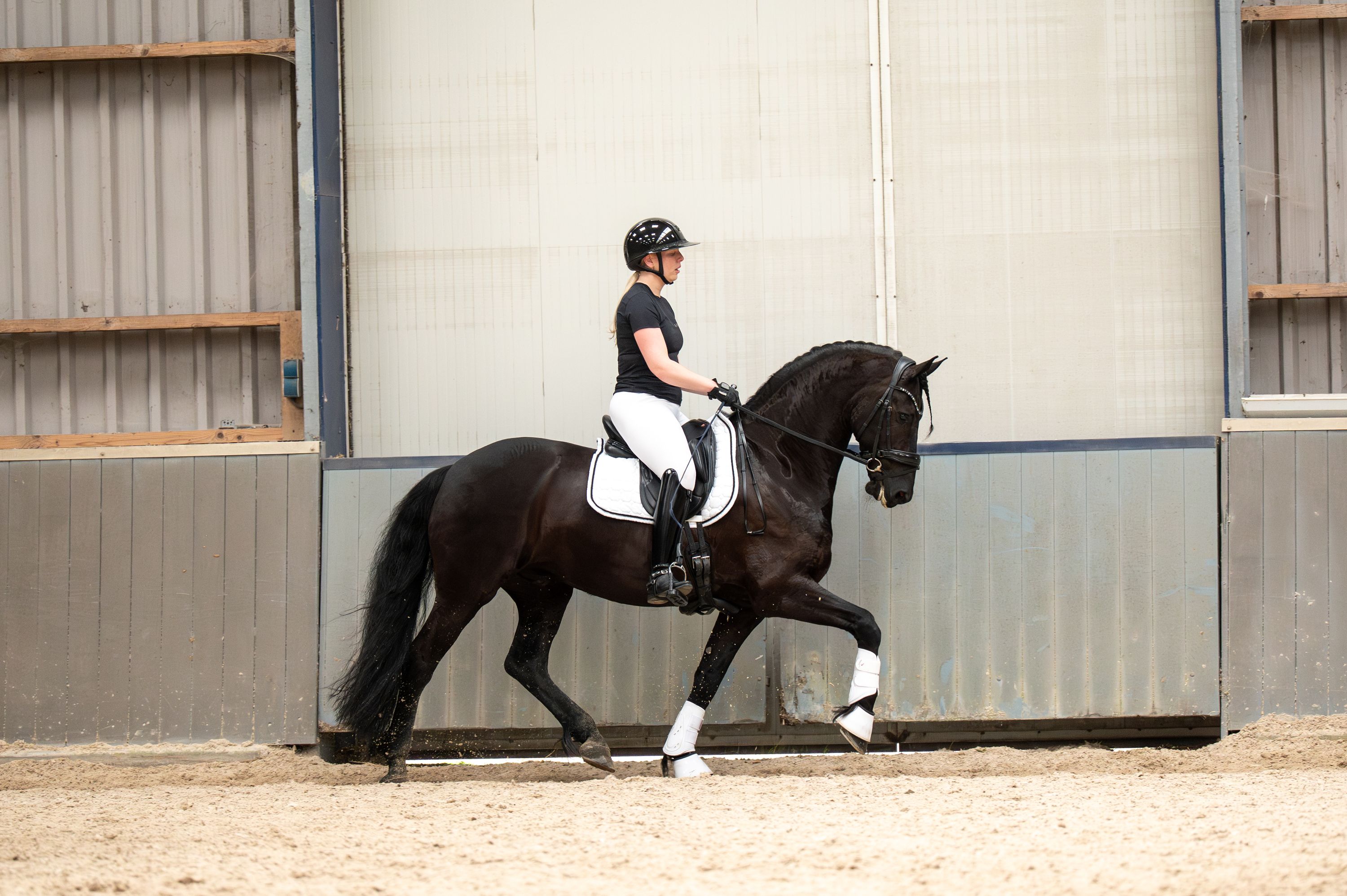 dressuurpaard ruin 9 ans zwart à vendre - Photo 5