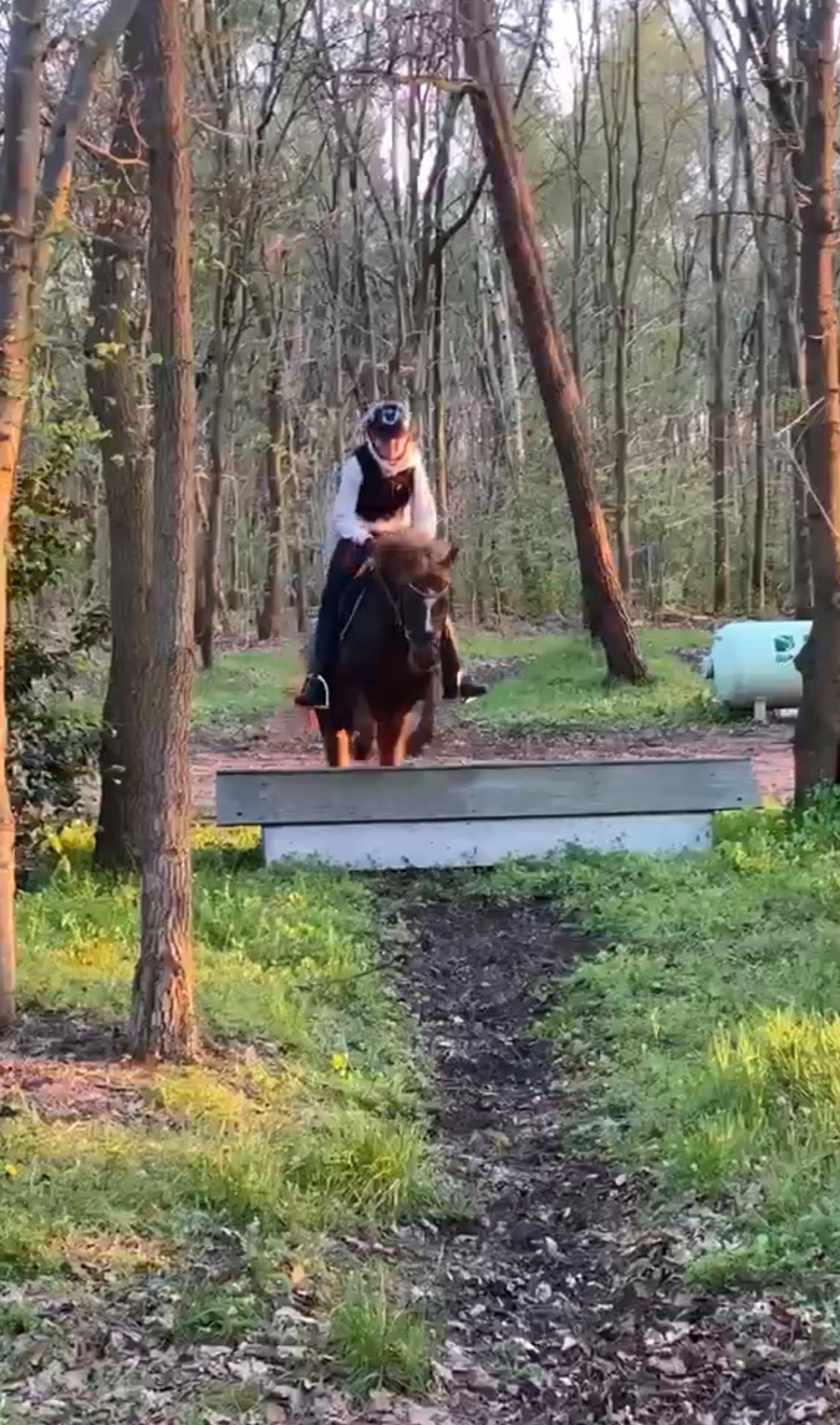 Söpö ja kiltti B-poni