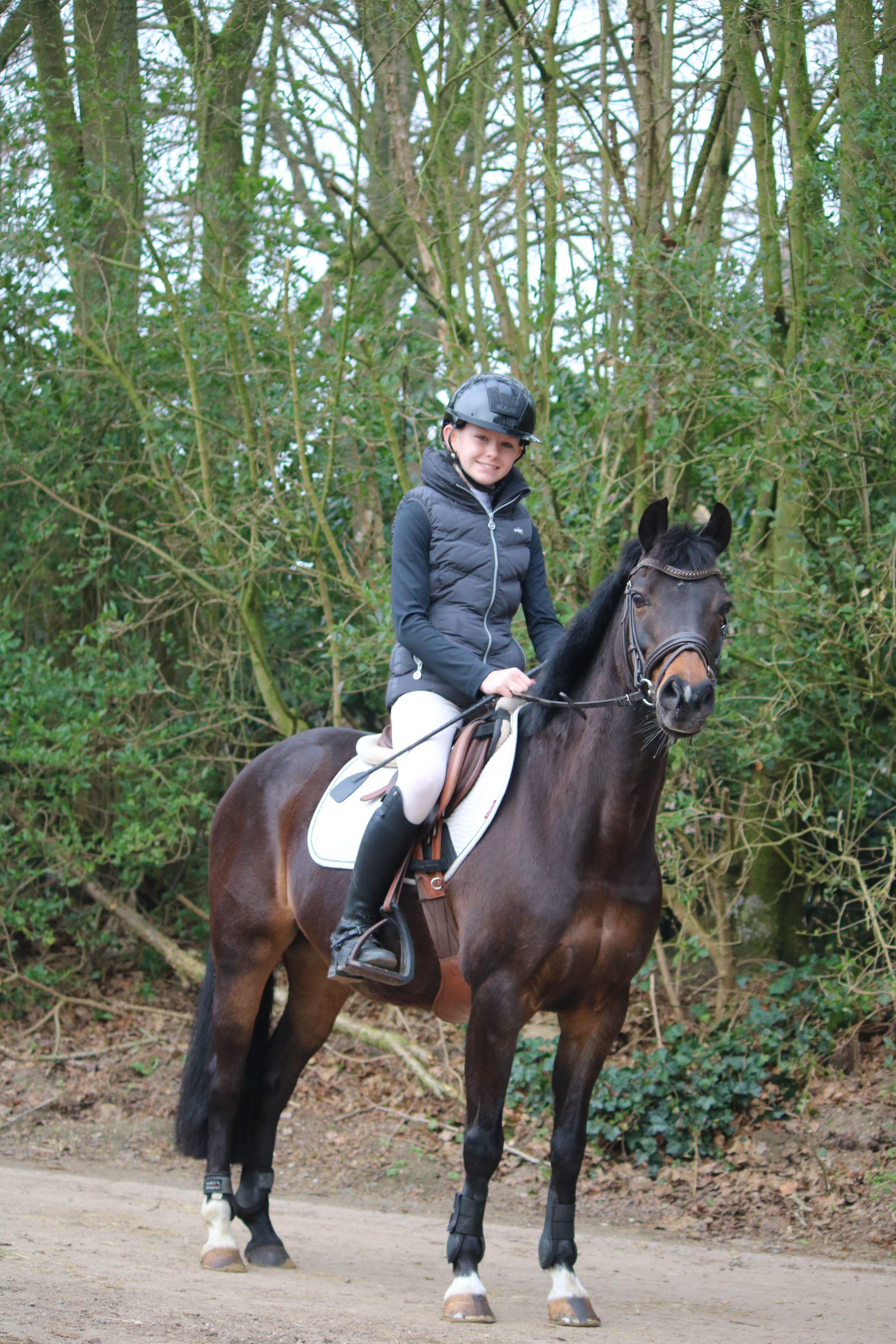new-forest allround-pony merrie 16 jaar te koop - Hoofdfoto
