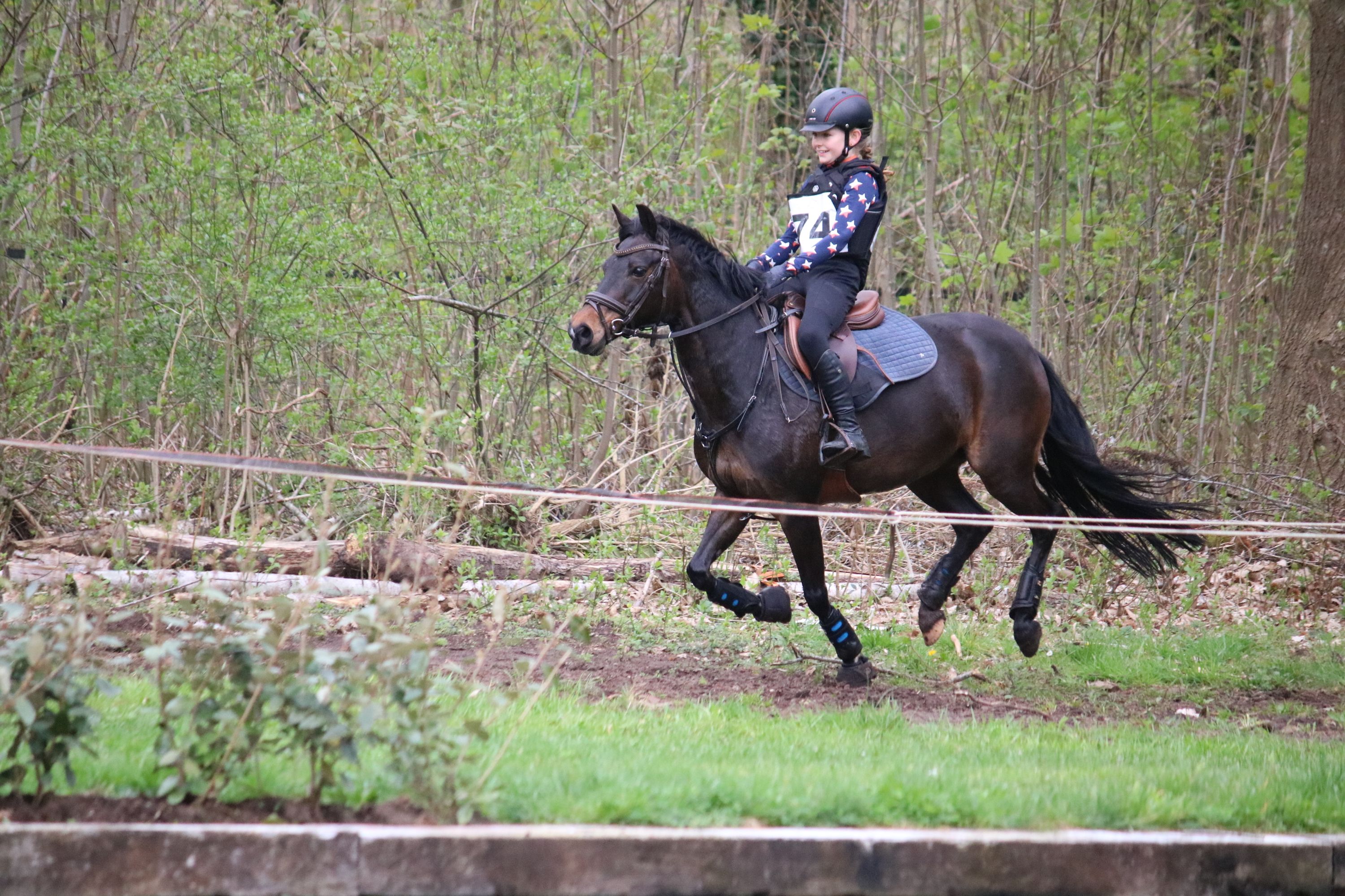 new-forest allround-pony merrie 16 jaar te koop - Foto 3