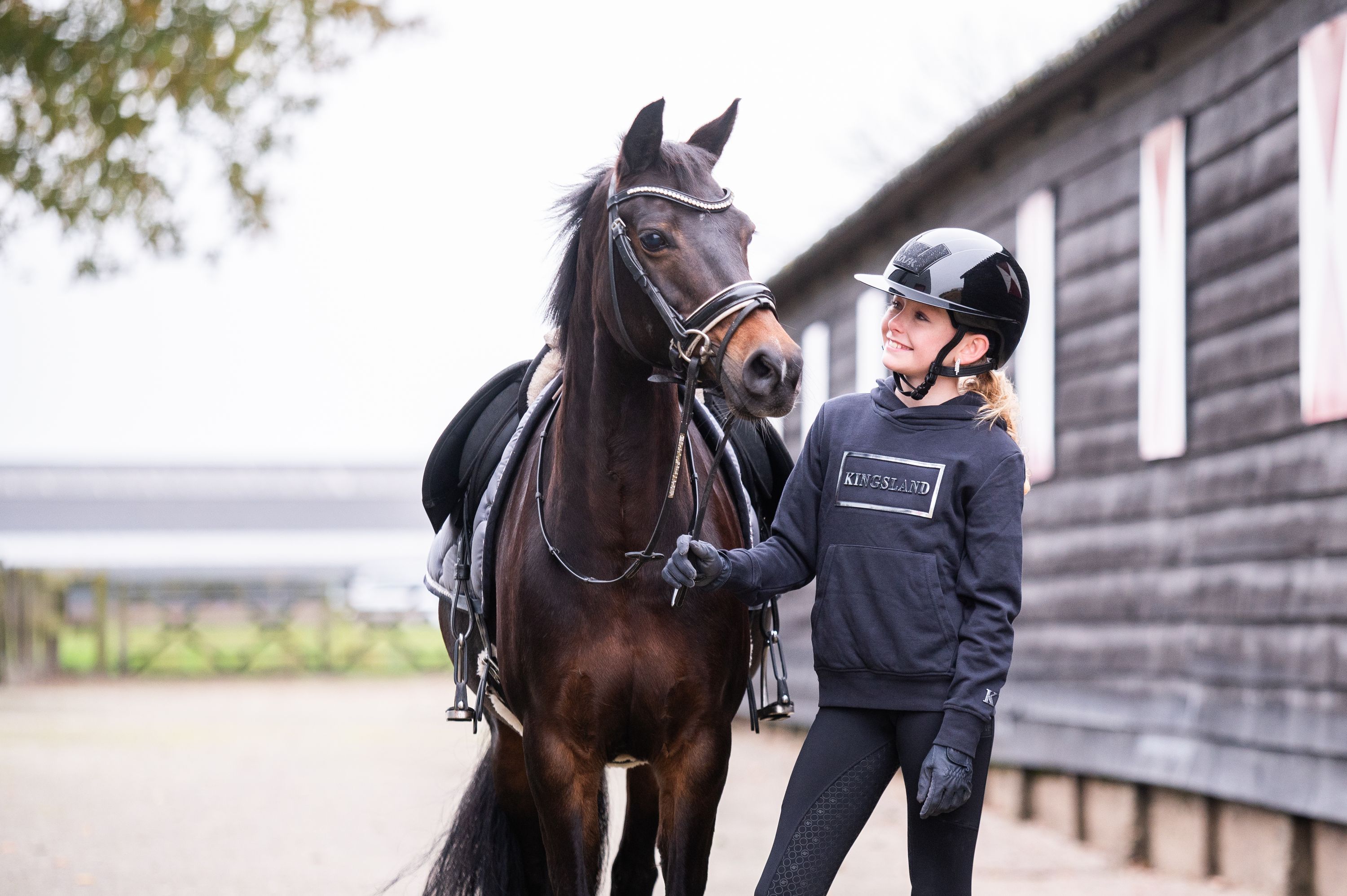 new-forest allround-pony merrie 16 jaar te koop - Foto 5
