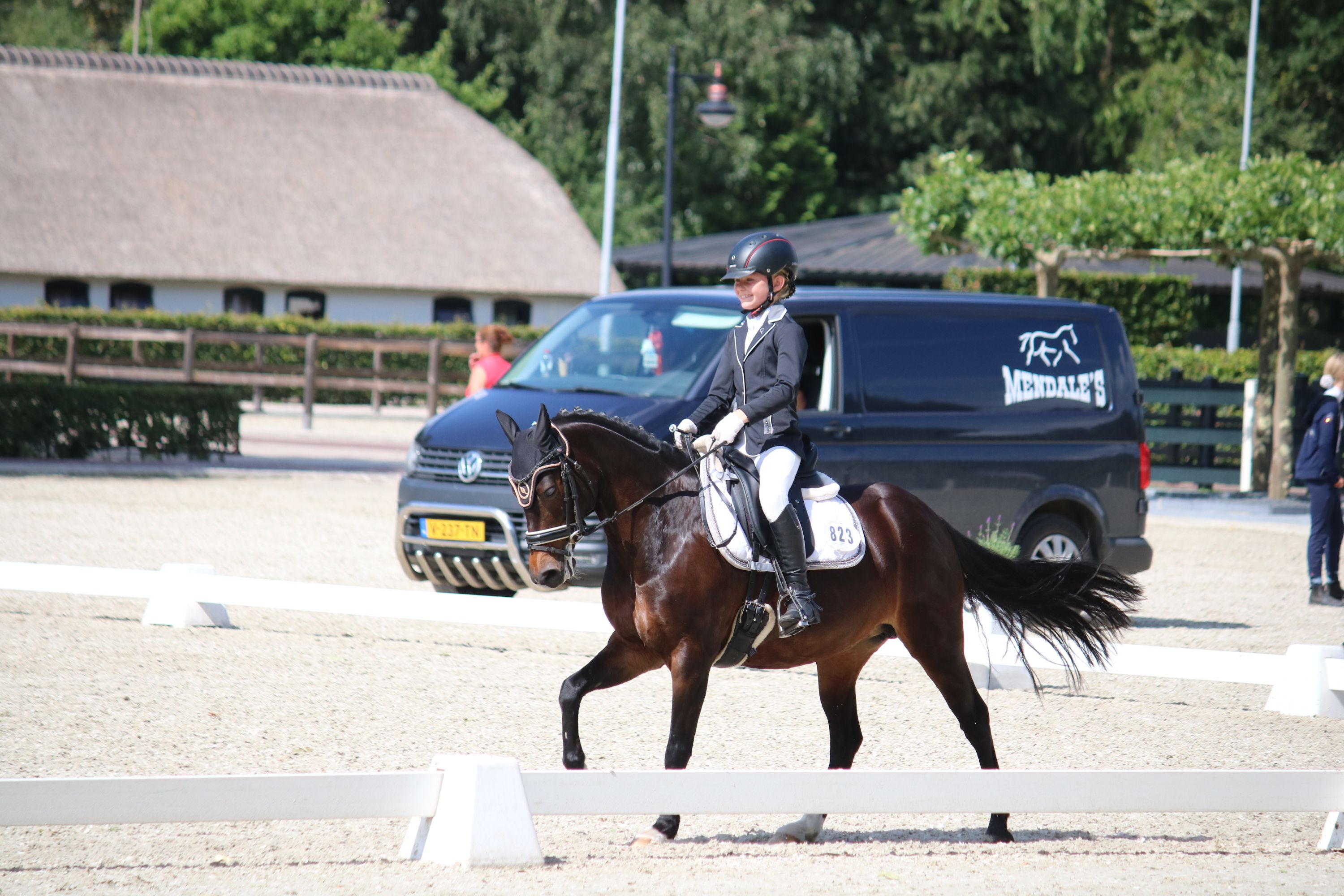 new-forest allround-pony merrie 16 jaar te koop - Foto 6
