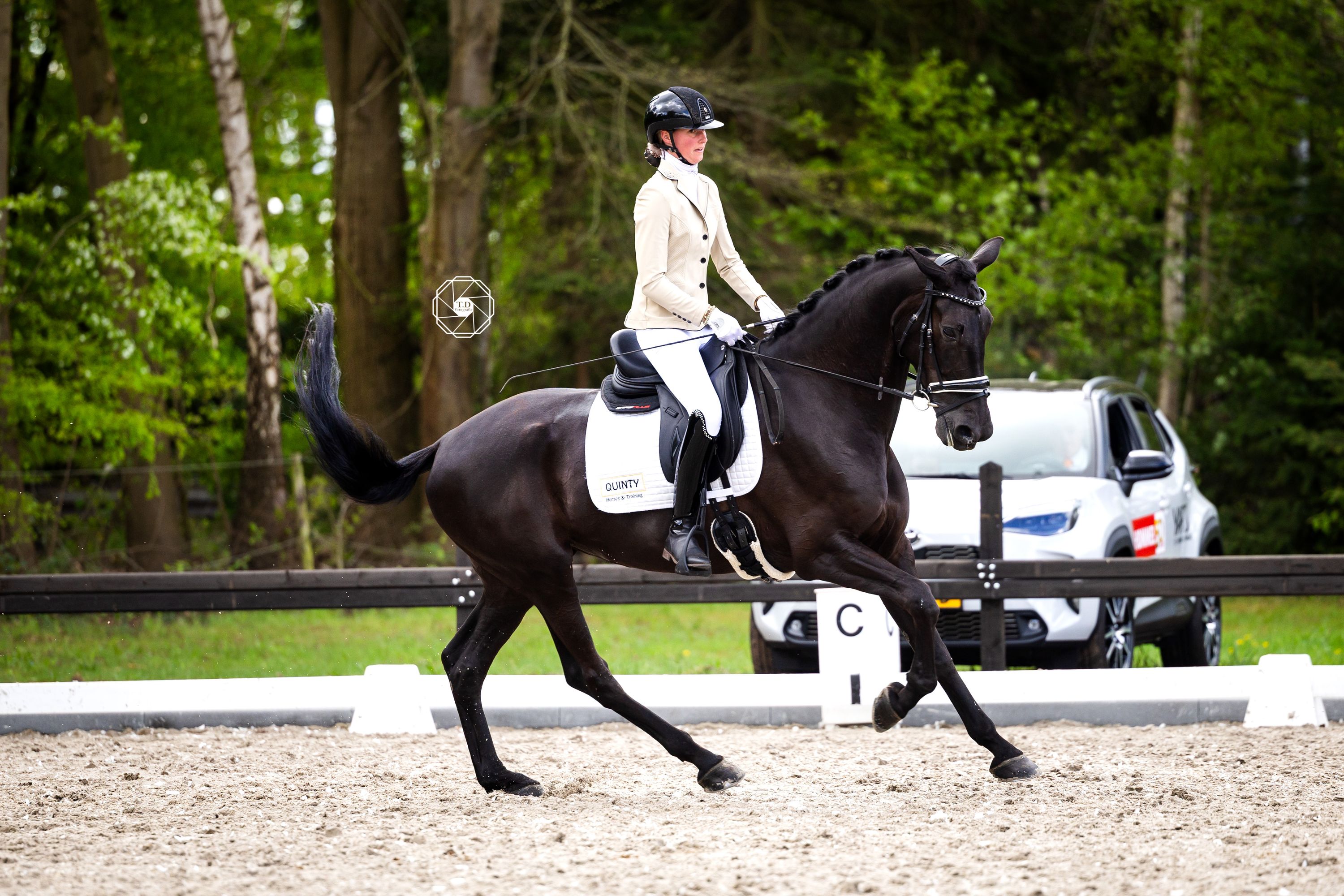 kwpn dressuurpaard merrie 6 years old zwart for sale - Photo 2