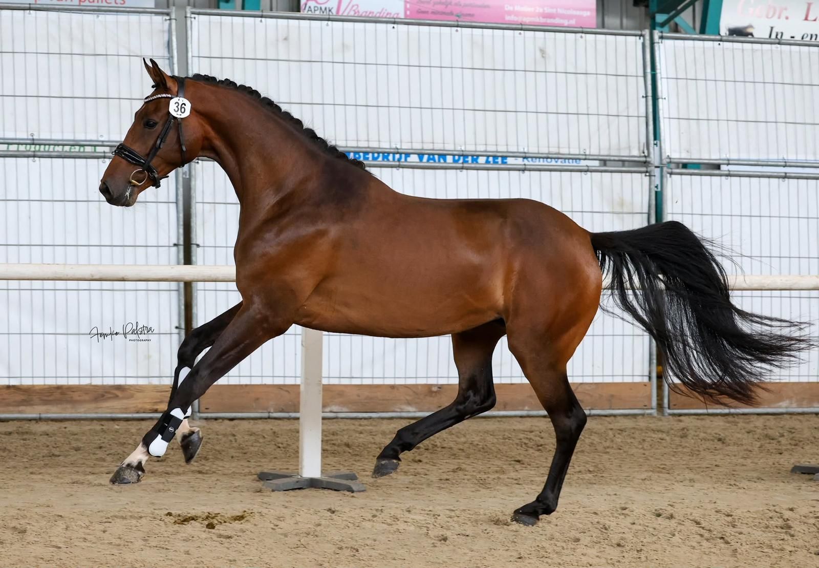 Chic 4-year-old stermerrie