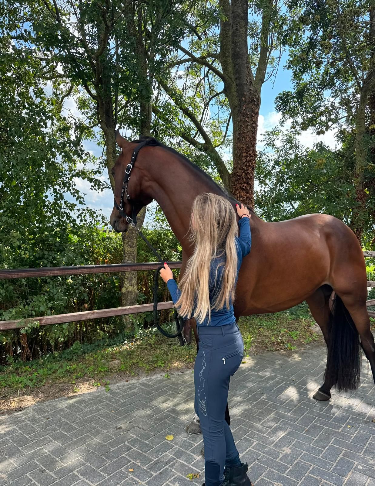 dressuurpaard merrie à vendre - Photo 3