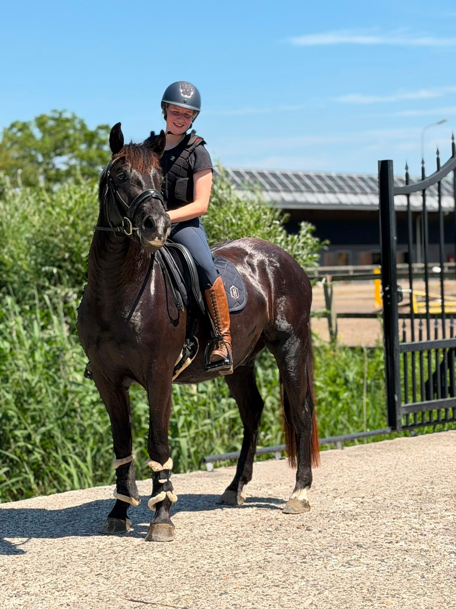 Dolce pony allround