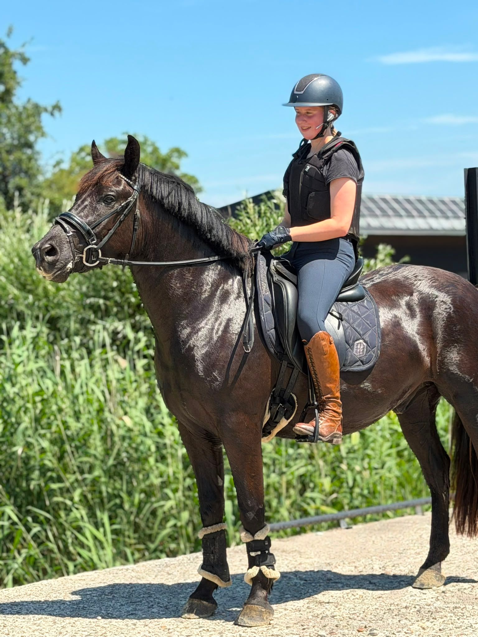 allround-pony ruin 4 anni zwart in vendita - Foto 2