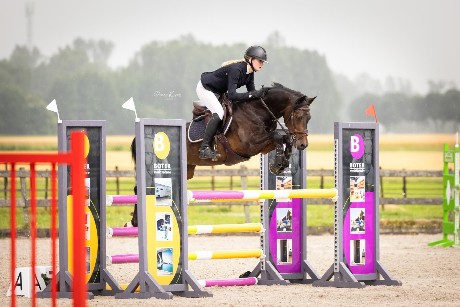 ander springpony ruin 16 jaar donkerbruin te koop - Hoofdfoto