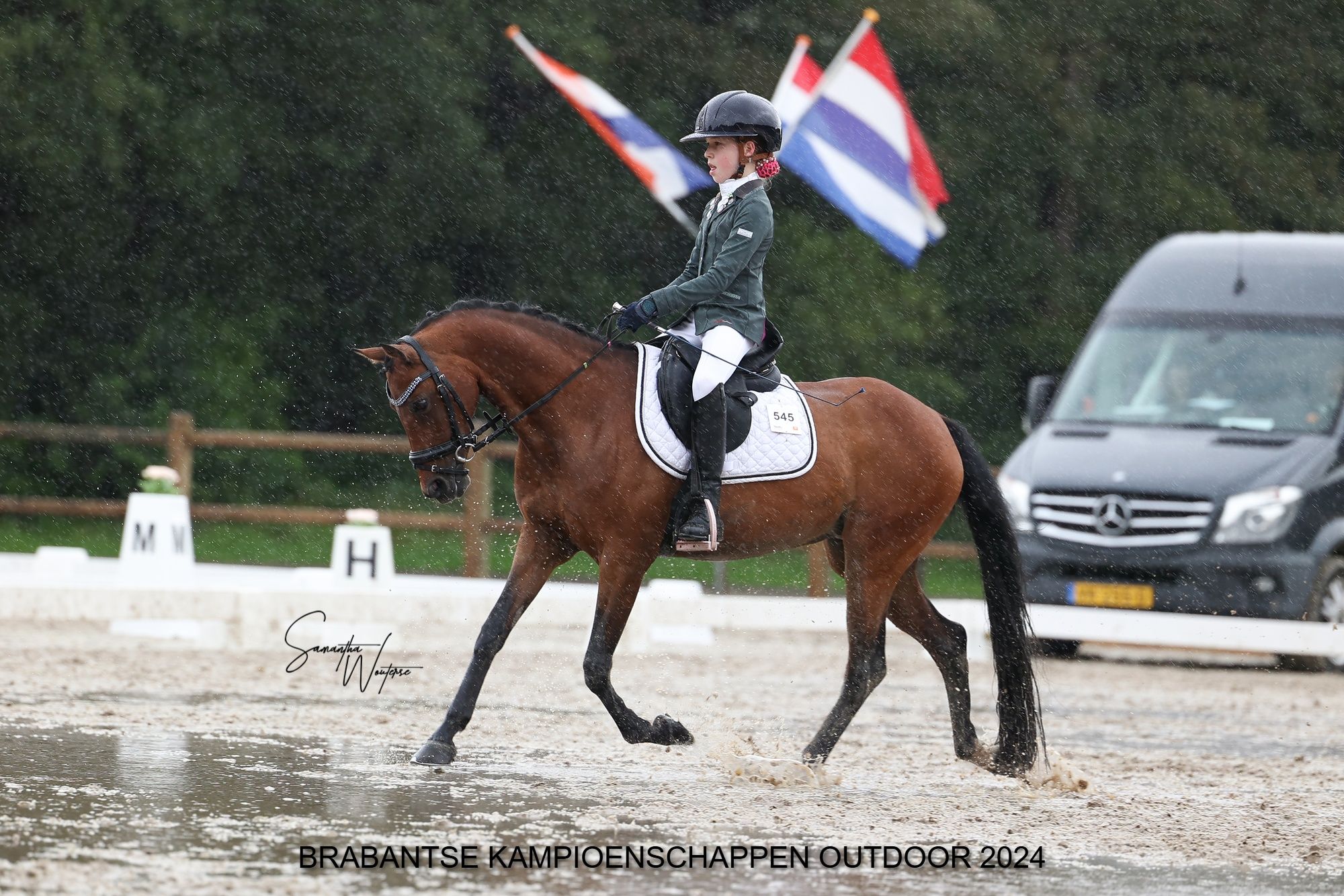 Allround C-Pony 136