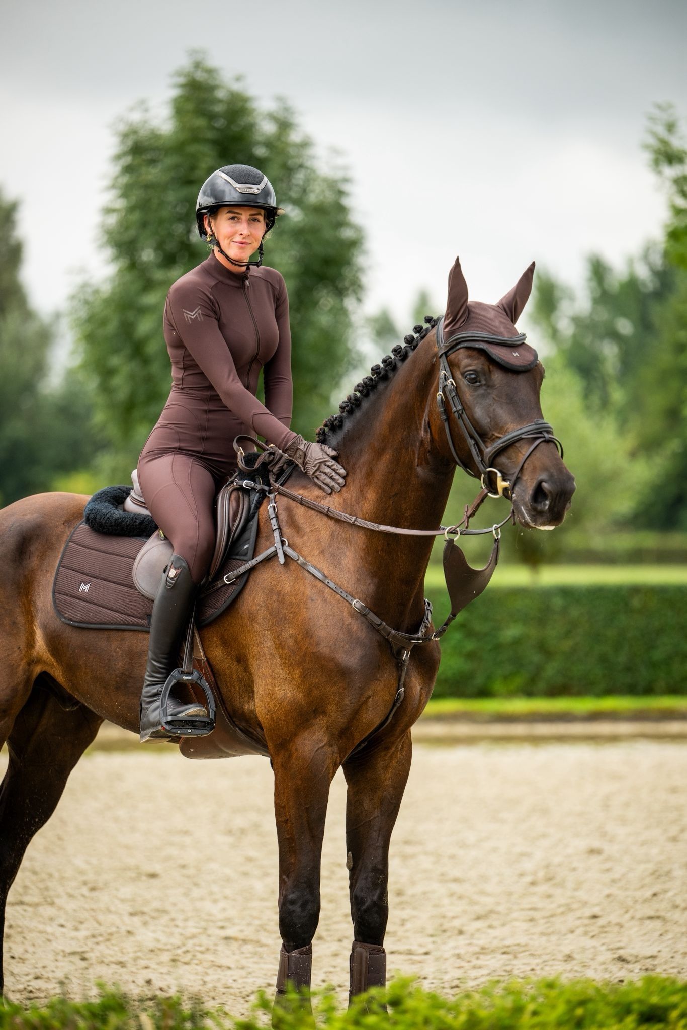 kwpn springpaard ruin 6 years old zwart for sale - Photo 5