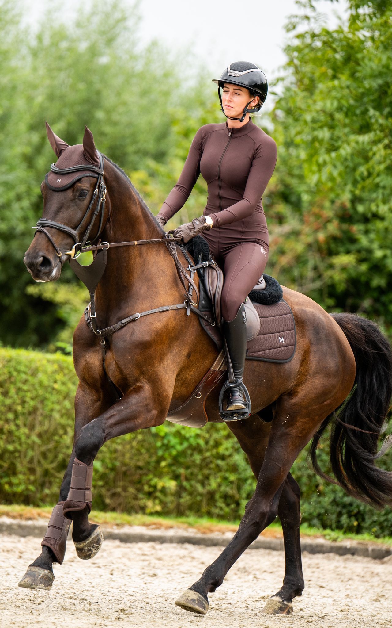kwpn springpaard ruin 6 years old zwart for sale - Photo 4