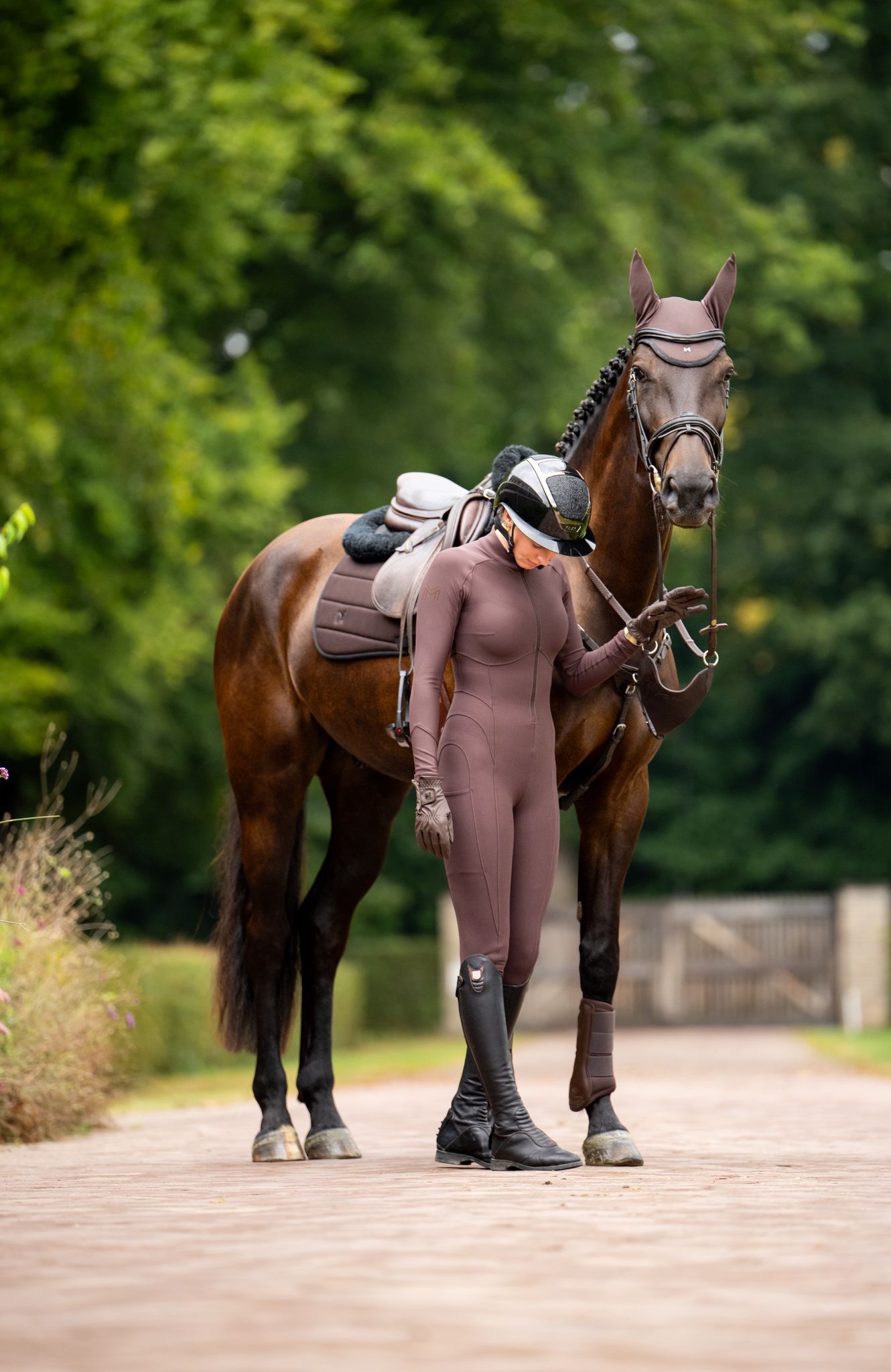 kwpn springpaard ruin 6 years old zwart for sale - Photo 2