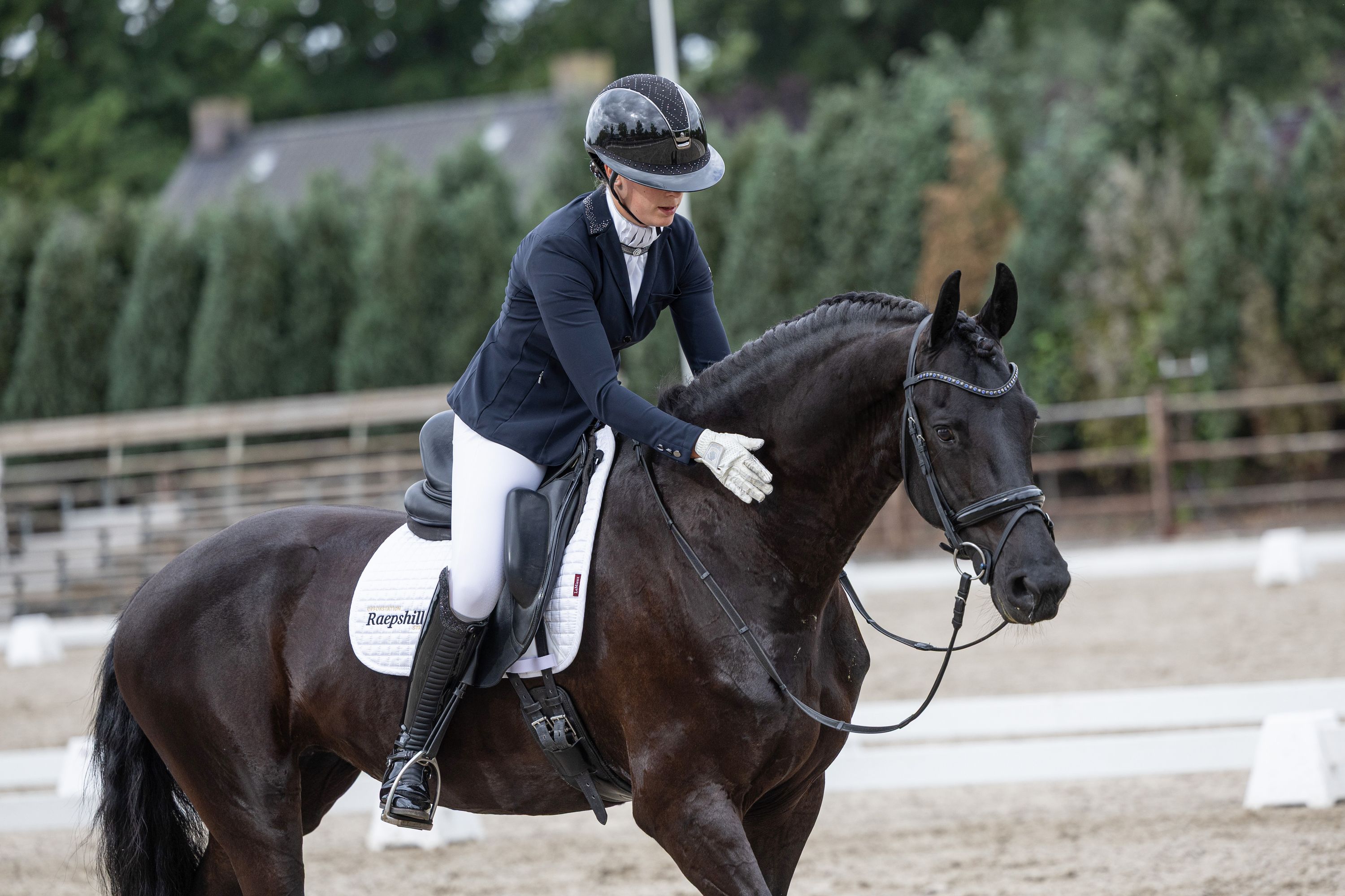 Handsome 9-year-old Sport A mare