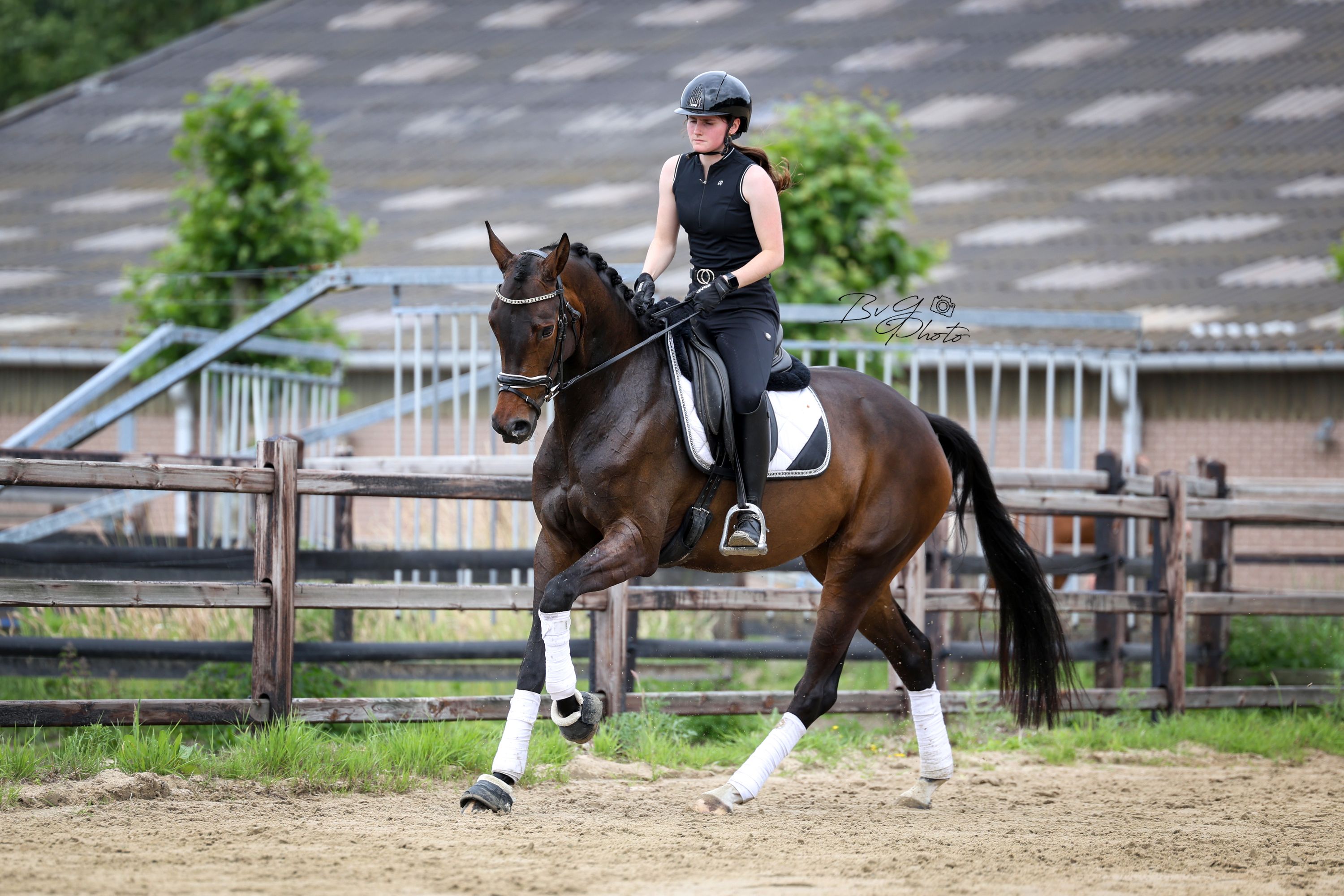 Talented 5-year-old mare