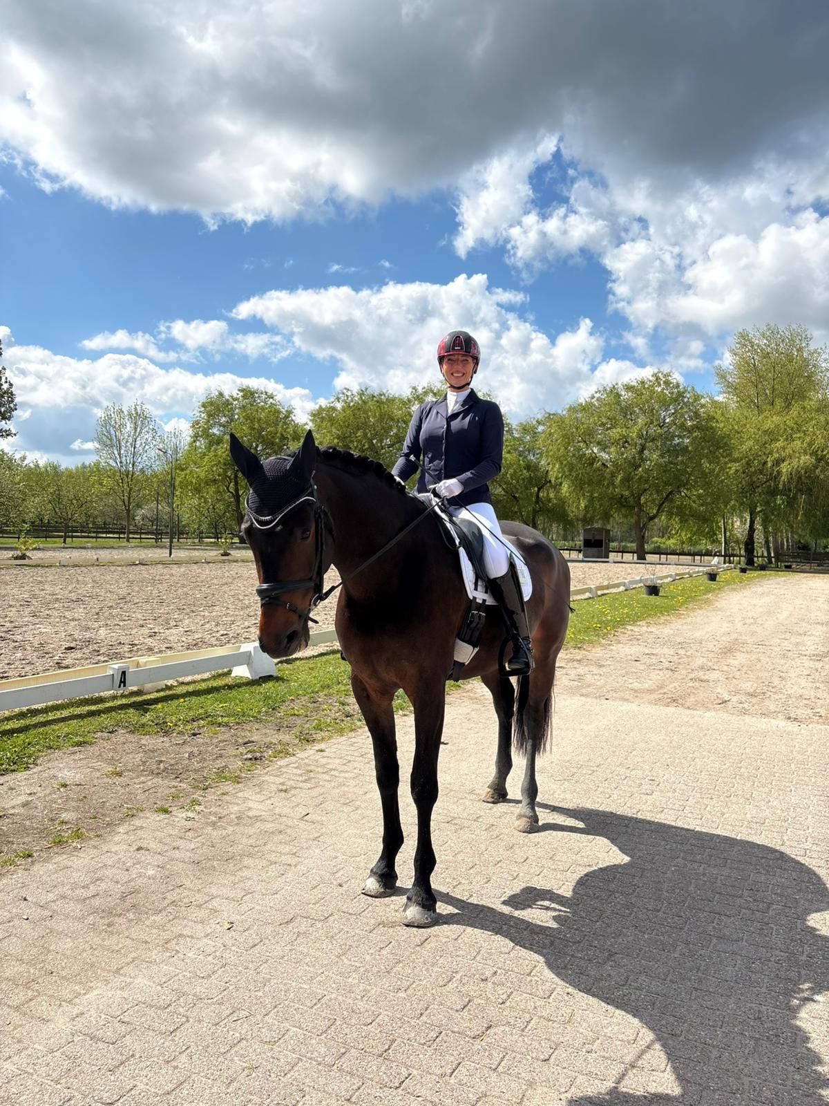 kwpn dressuurpaard ruin 7 Jahre alt donkerbruin zu verkaufen - Foto 3