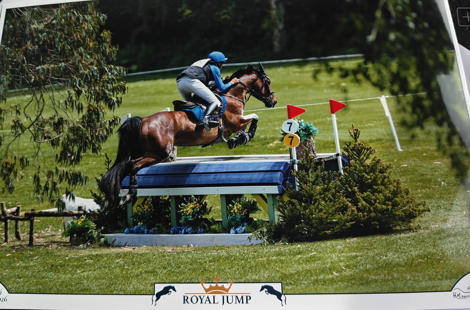 Ponei de Eventing (Probă Completă)