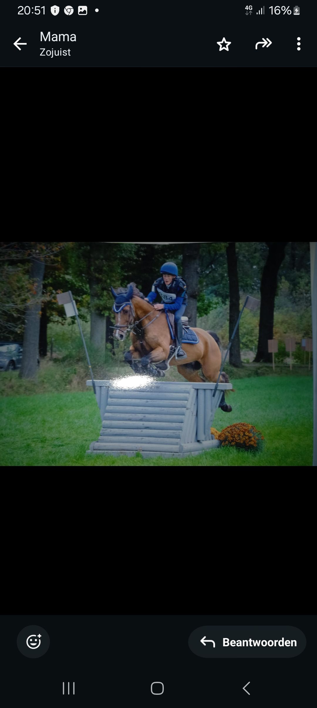 eventingpony ruin 17 år donkerbruin til salg - Foto 5