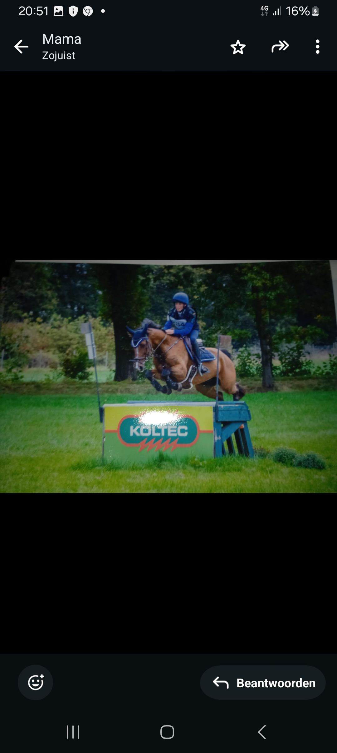 eventingpony ruin 17 år donkerbruin til salg - Foto 4