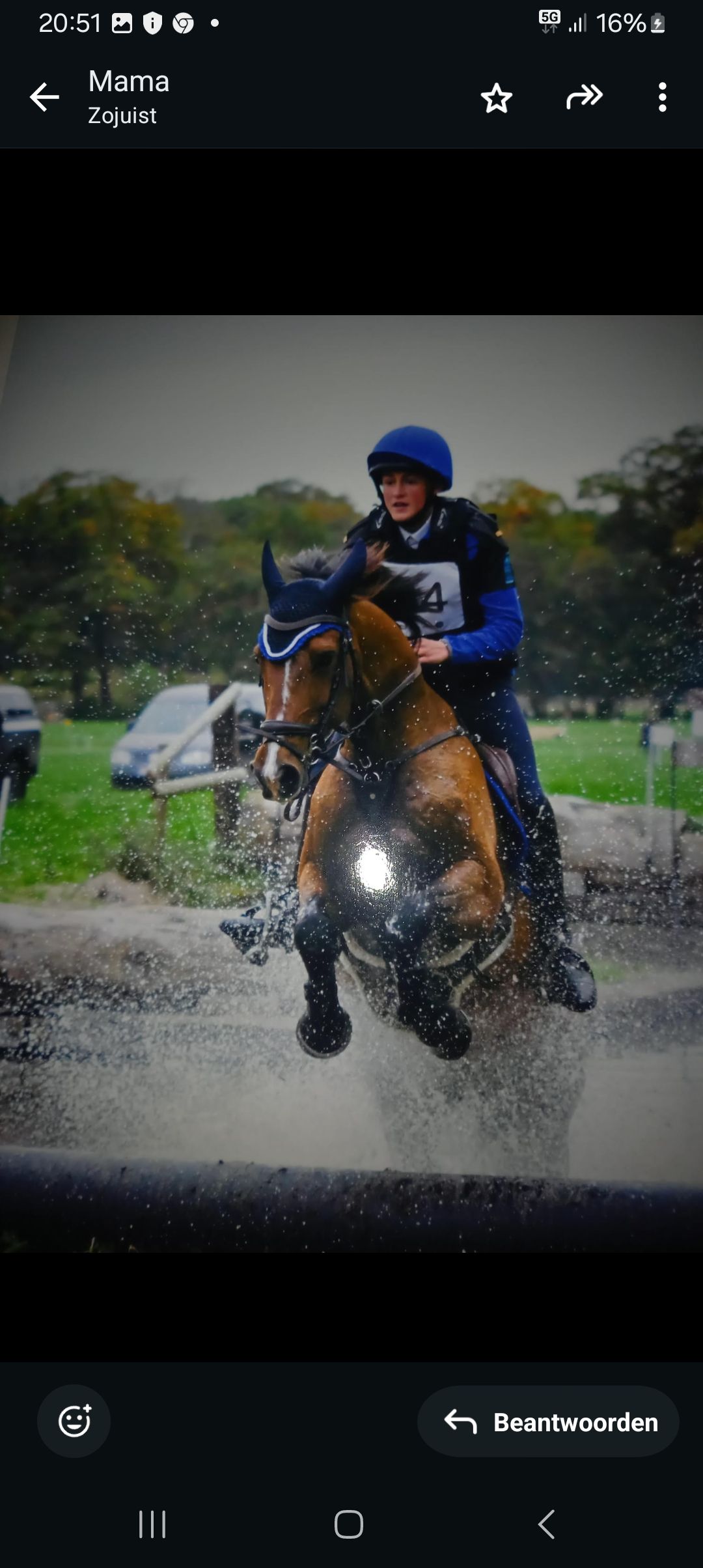 eventingpony ruin 17 år donkerbruin til salg - Foto 6