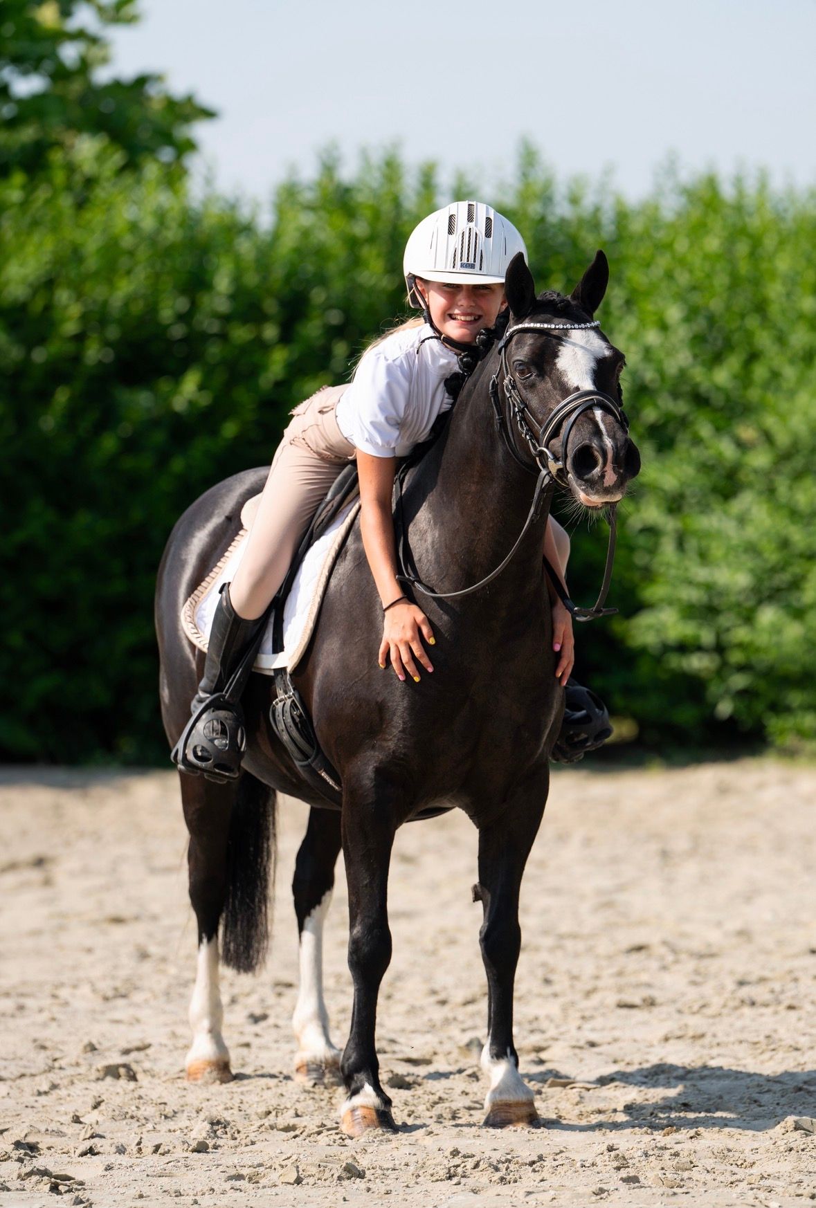 welsh pony merrie 14 years old zwart for sale - Photo 3