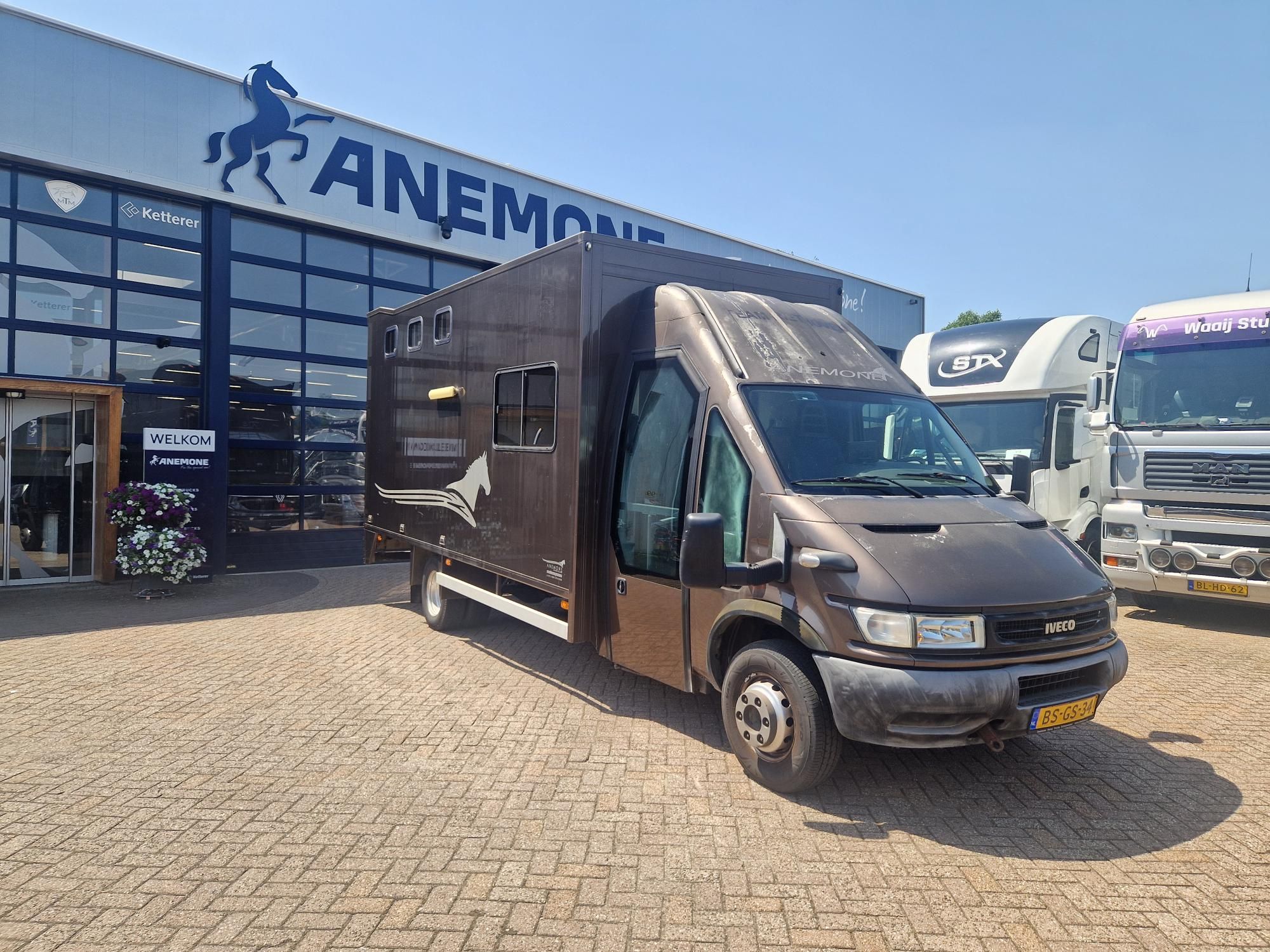 Used Iveco Automatic Horse Truck Anemone (id:104)