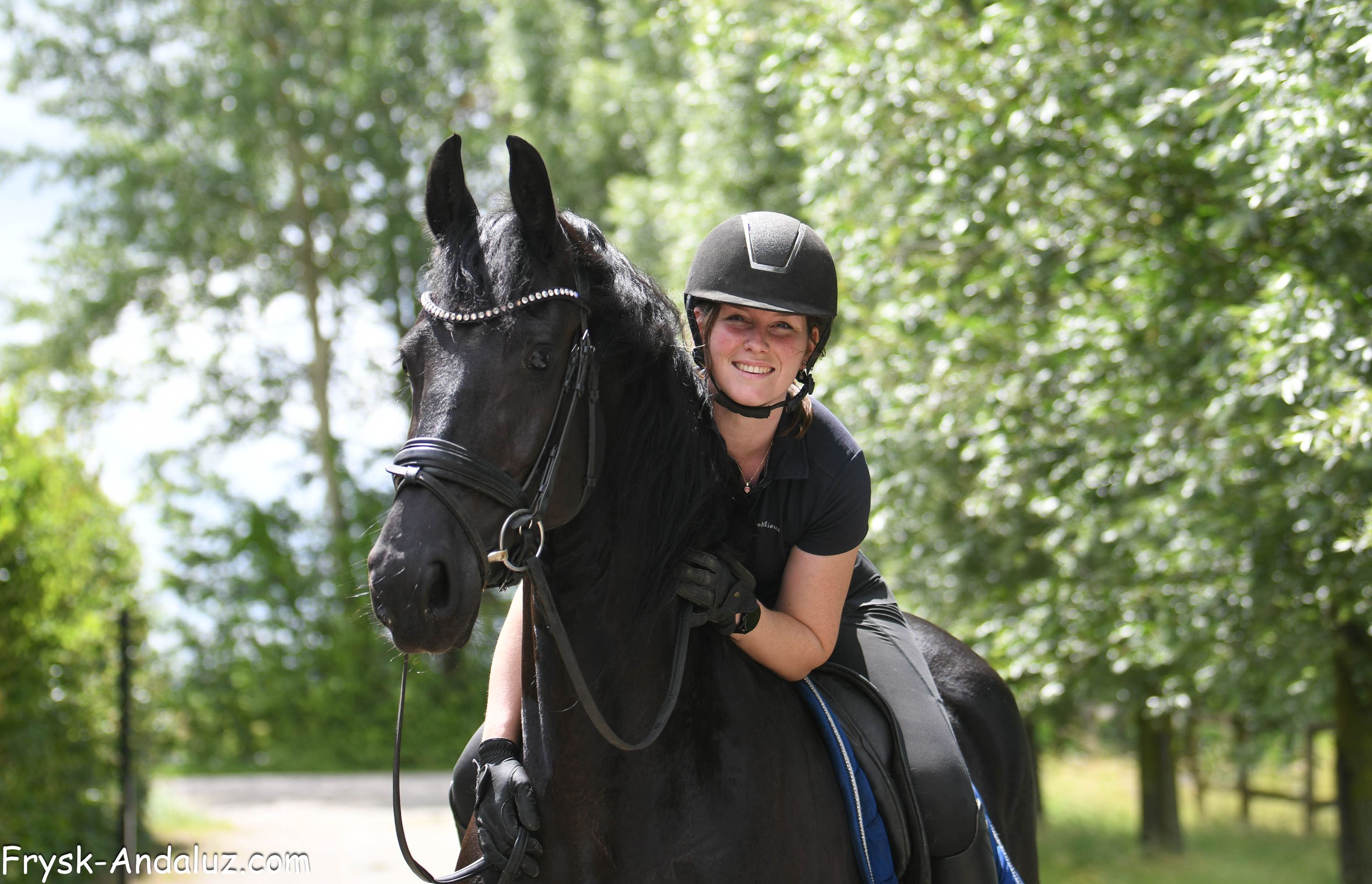 fries merrie 5 years old zwart for sale - Photo 2