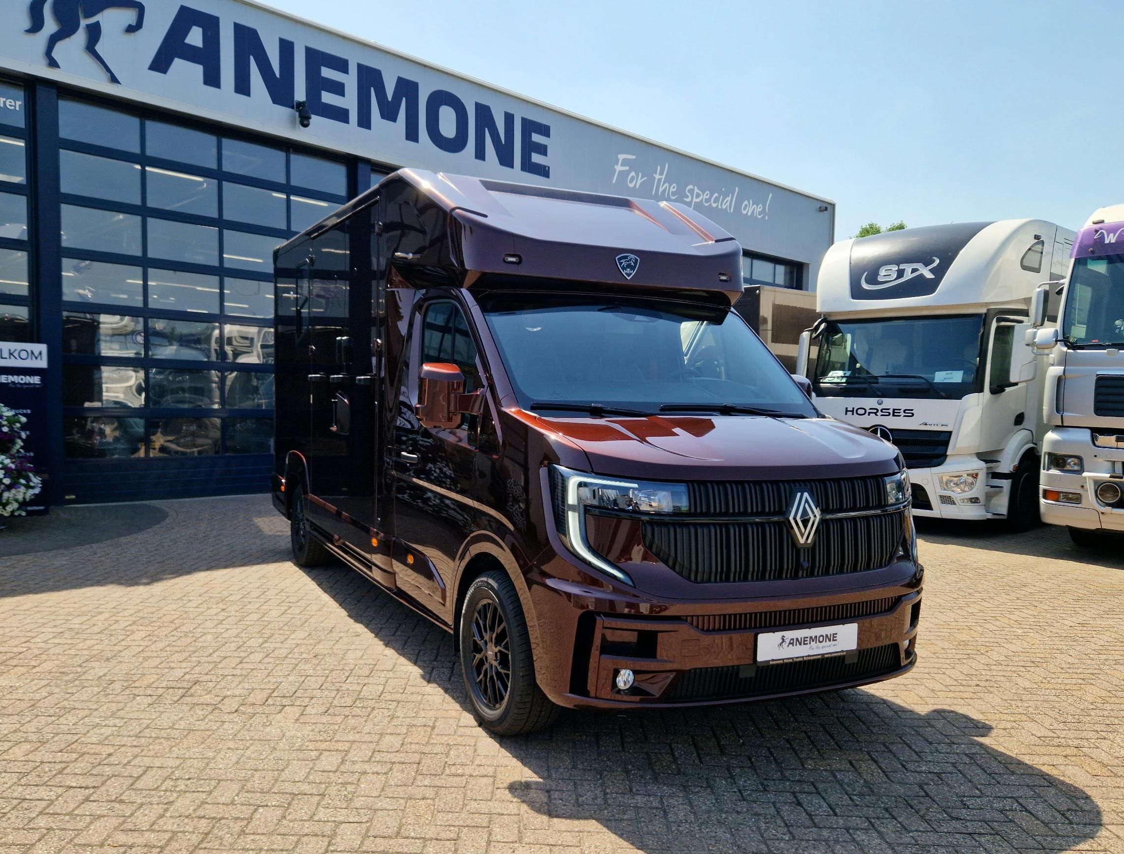 Nový model 2026 MTM Renault Master pro 2 koně Anemone (id:65)