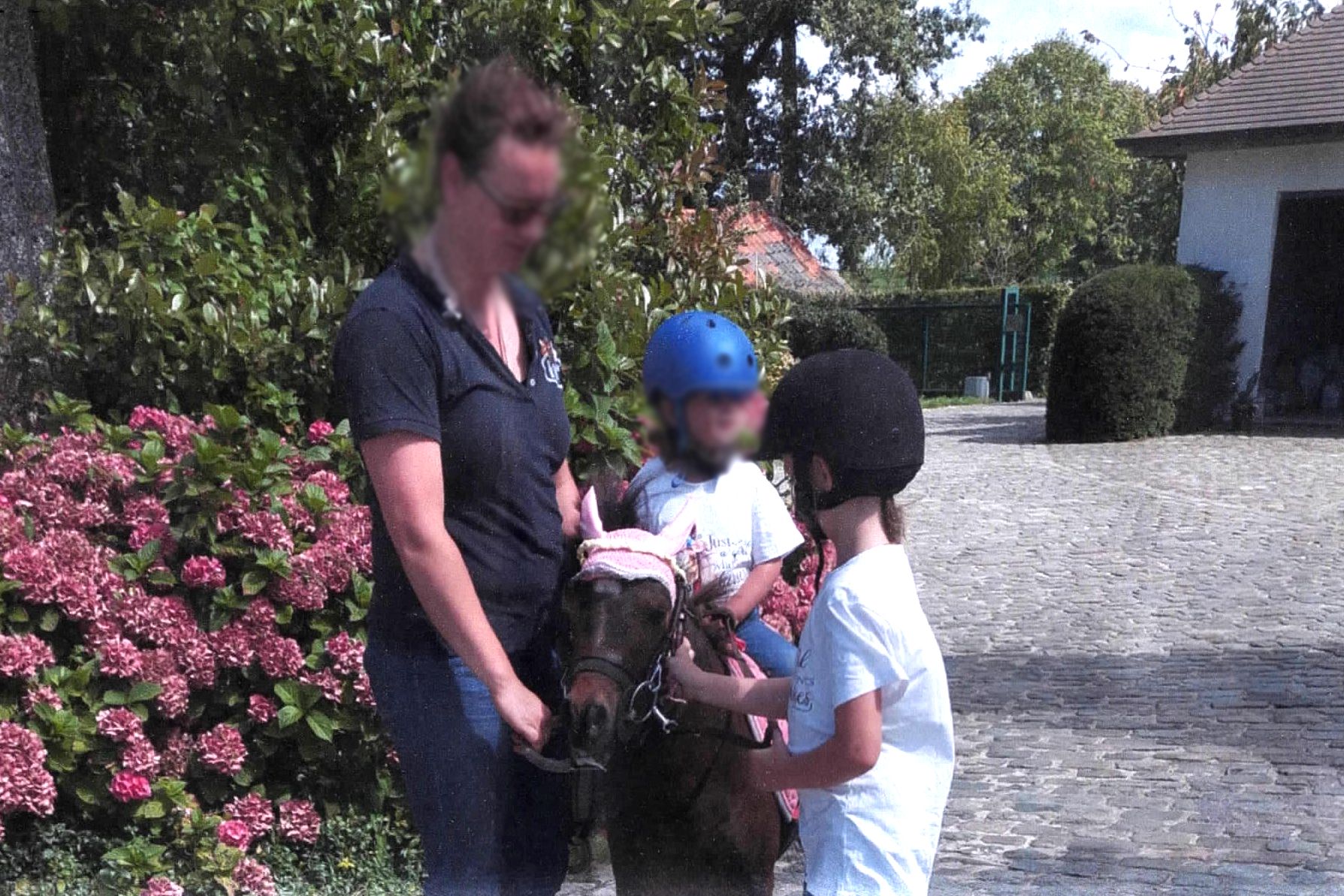 ander recreatie-pony ruin 4 years old donkerbruin for sale - Photo 3