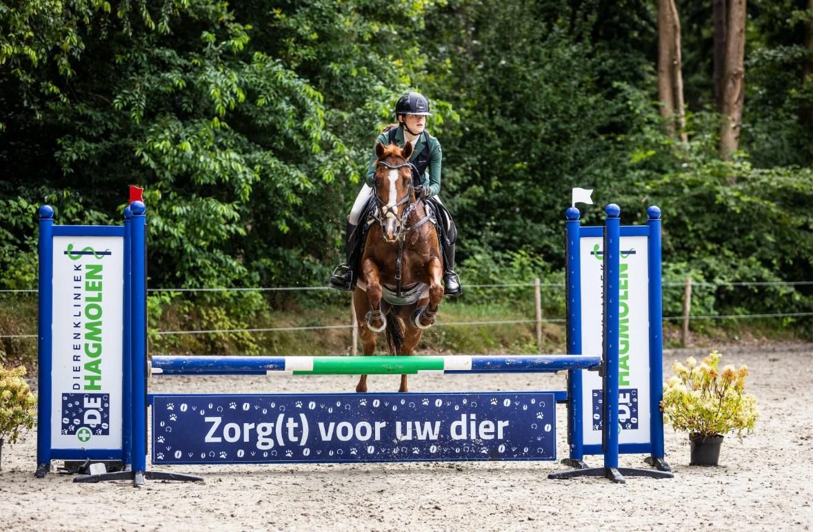nrps springpony merrie 18 years old vos for sale - Photo 4