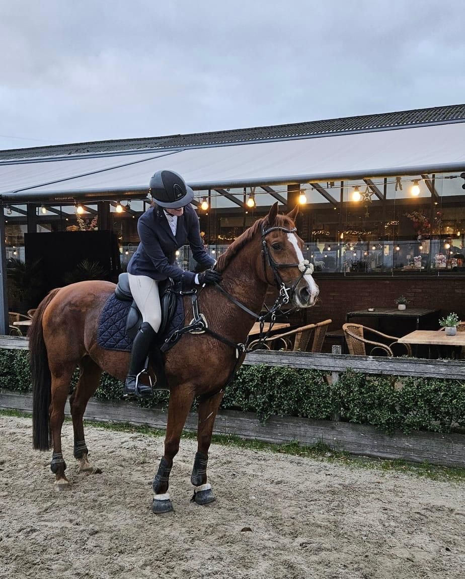 nrps springpony merrie 18 years old vos for sale - Photo 3