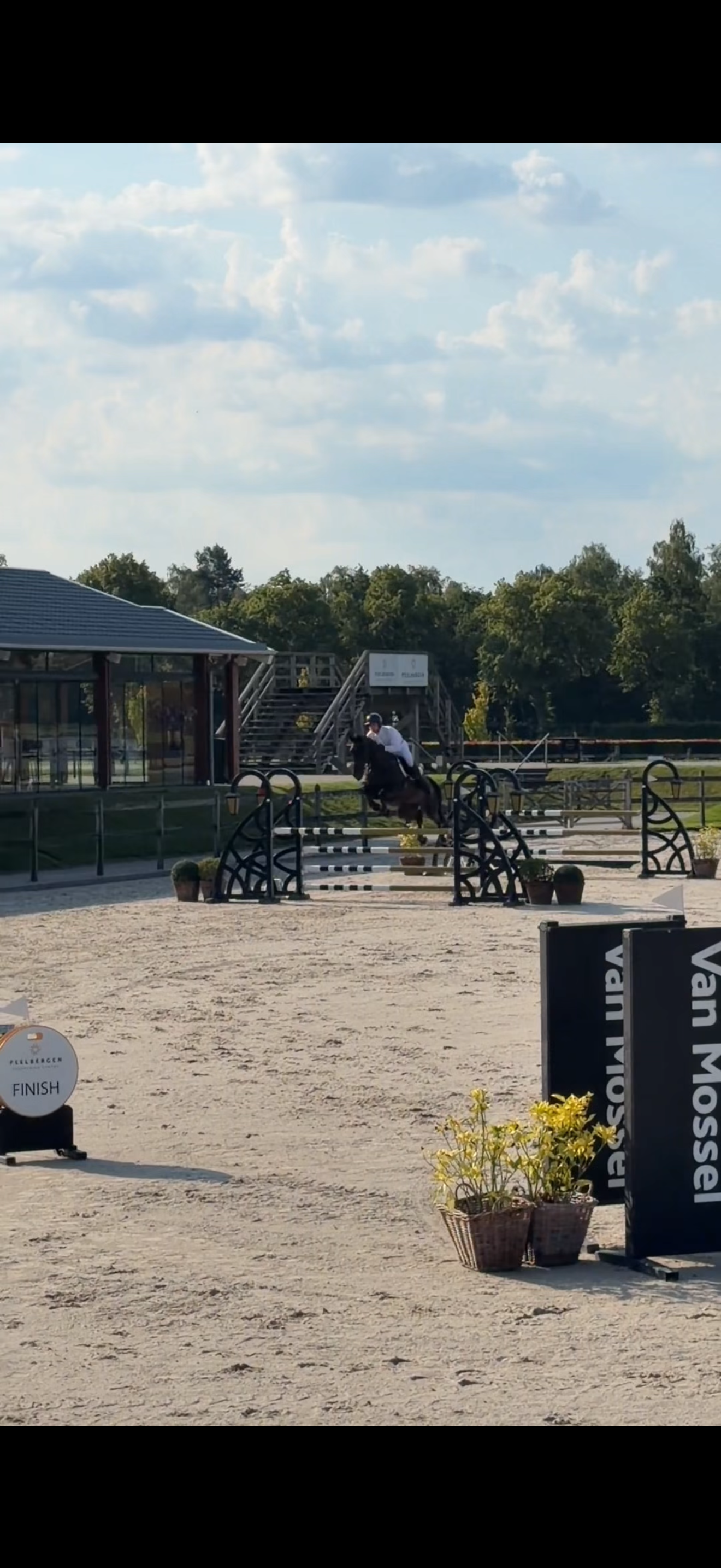 bwp springpaard ruin 10 jaar zwart te koop - Foto 3